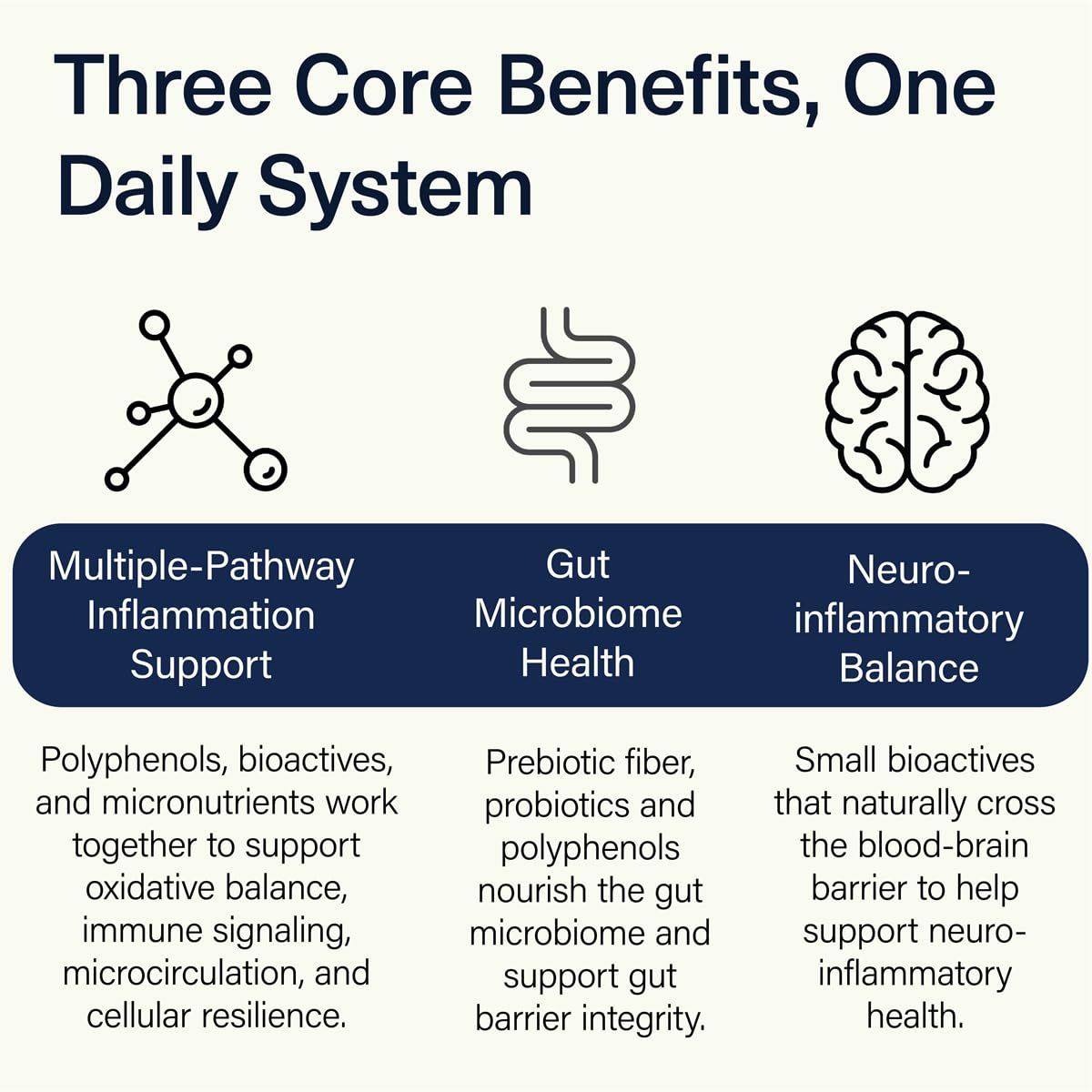 ACEND Advanced Inflammatory Support Powdered Drink Mix | Evidence-Based Polyphenols + Prebiotic Fiber + Probiotics | D3+K2, Minerals & Electrolytes | Non-GMO ACEND buy supplements canada