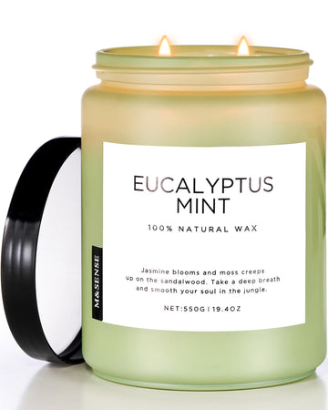 M&SENSE Eucalyptus Mint Candles for Home Scented, 19.4oz 110 Hours Burn Soy Aromatherapy M&SENSE buy supplements canada