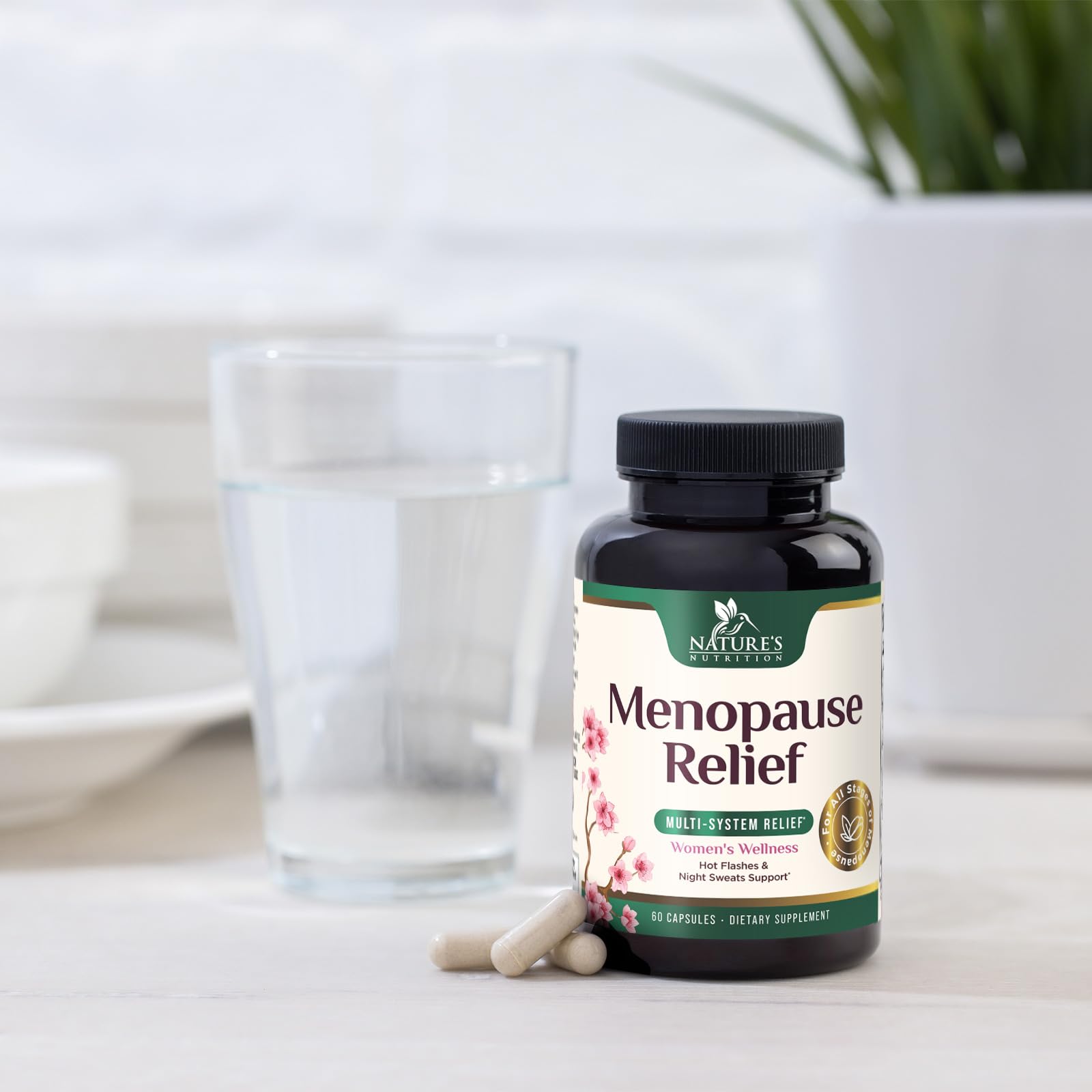 Menopause Supplement for Women - Natural Menopause Relief Support for Mild Hot Flashes & Night Sweats - Best Probiotics for Women, Dong Quai, Black Cohosh, Ashwagandha - Bottled in USA - 60 Capsules Nature's Nutrition buy supplements canada