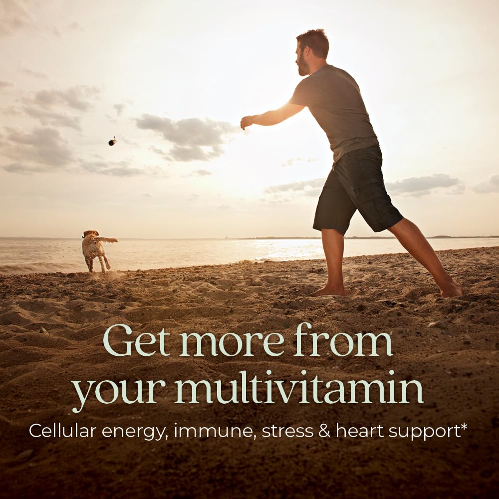 New Chapter Men’s Multivitamin, B6, Extra B12, D3, Vitamin C & Zinc, Immune, Heart, Cellular Energy, and Brain Health New Chapter buy supplements canada