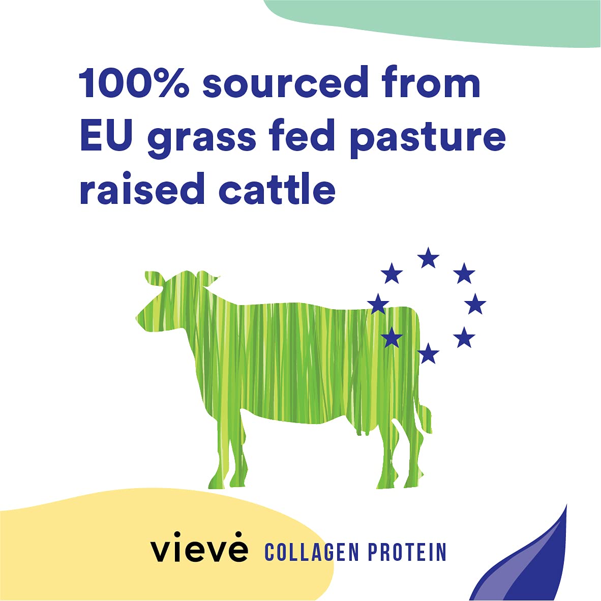 Vieve Collagen Protein Powder - Hydrolysed Bovine Peptides - Diet Support Supplement for Skin, Hair, Nail Vieve buy supplements canada
