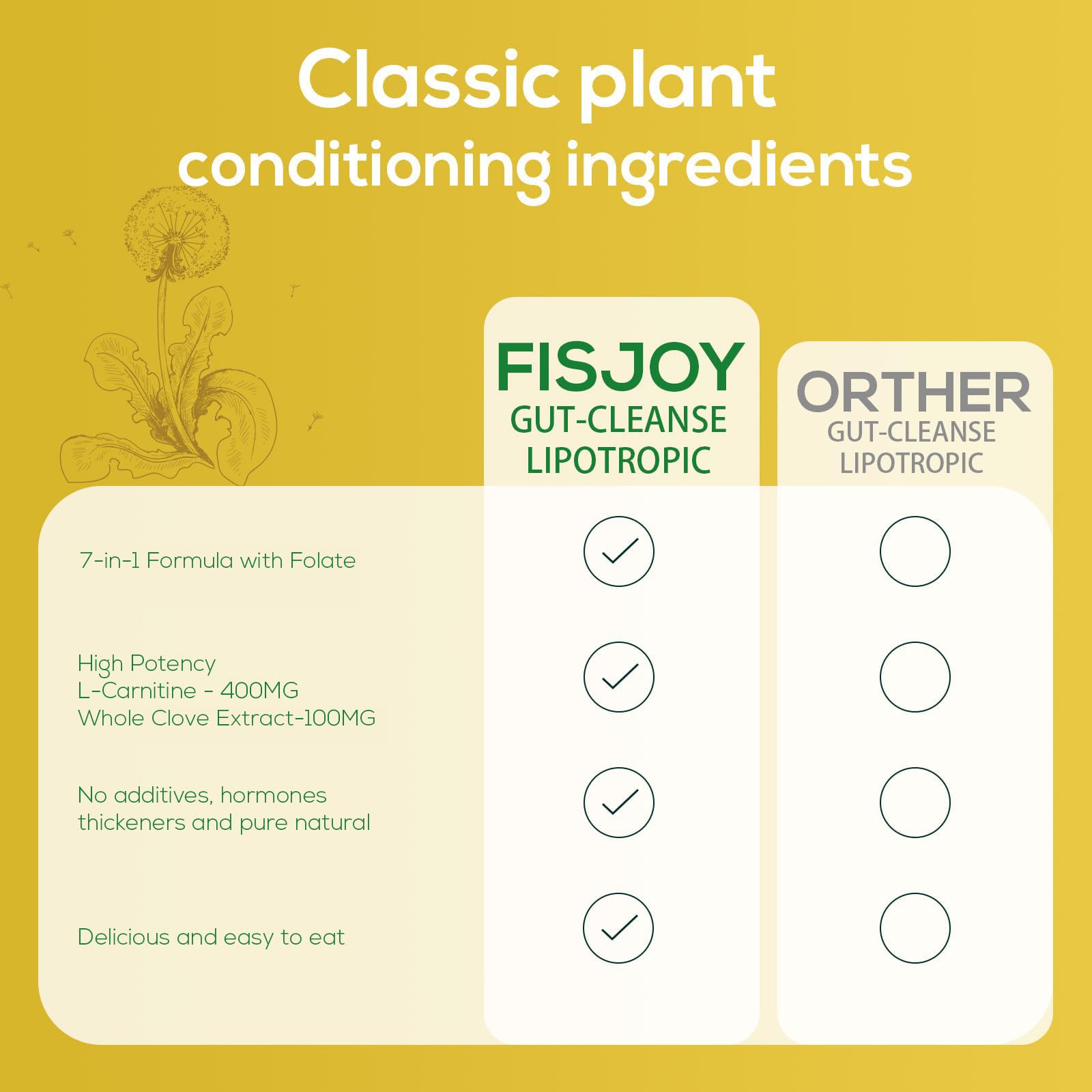 Fisjoy L-Carnitine & Herbal Liquid Drops – Gentle Daily Digestive Support with Pumpkin Seed, Clove & PAU D’Arco Extracts, Folate & Chromium, Vegan, Sugar-Free, 2 fl oz (60 mL) Fisjoy buy supplements canada