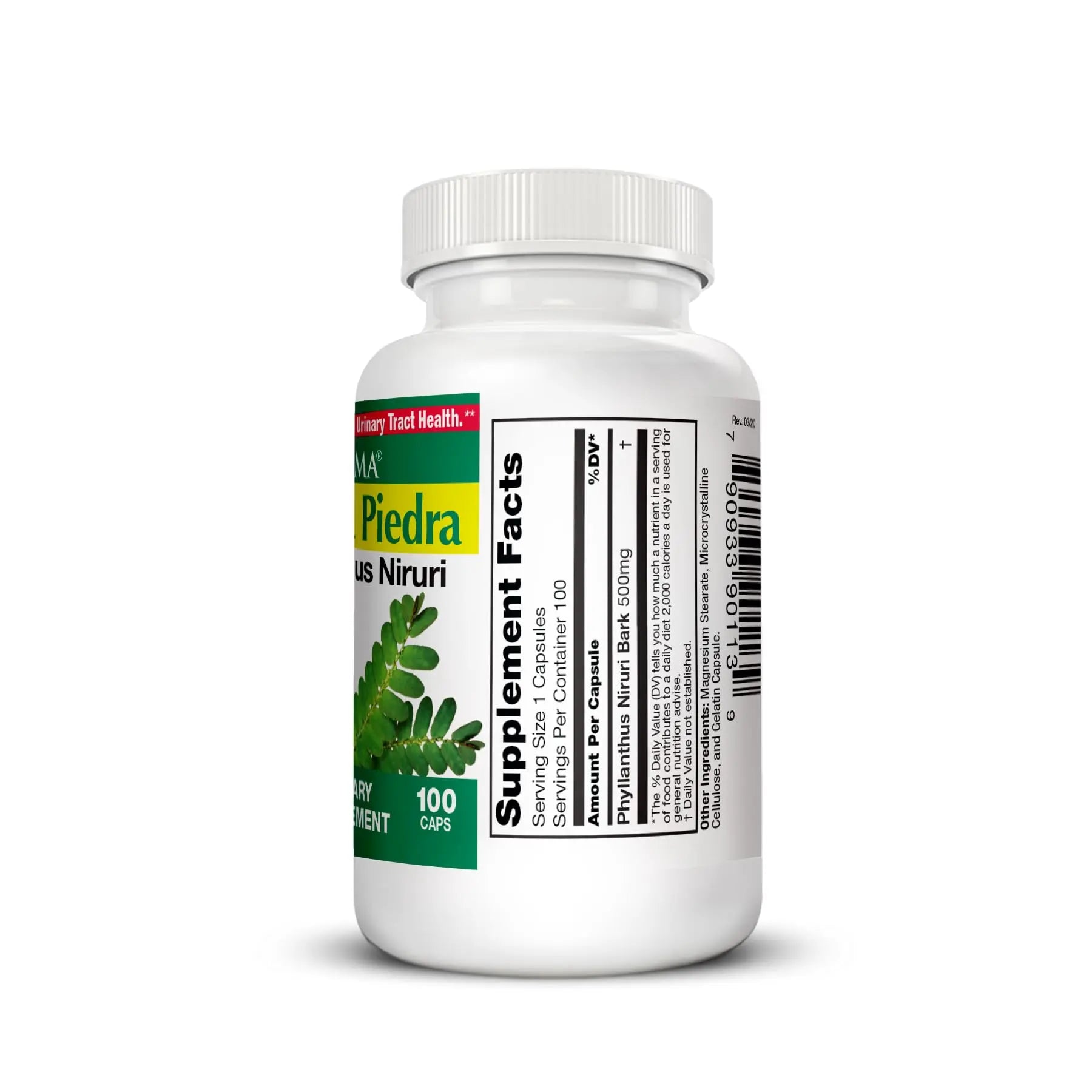 Germa Chanca Piedra Supplement – 500mg Phyllanthus Niruri – Traditional Stone Breaker Herb for Urinary & Kidney Support – Rainforest Botanical – 100% Natural Vegan Capsules, 100 Count Germa buy supplements canada