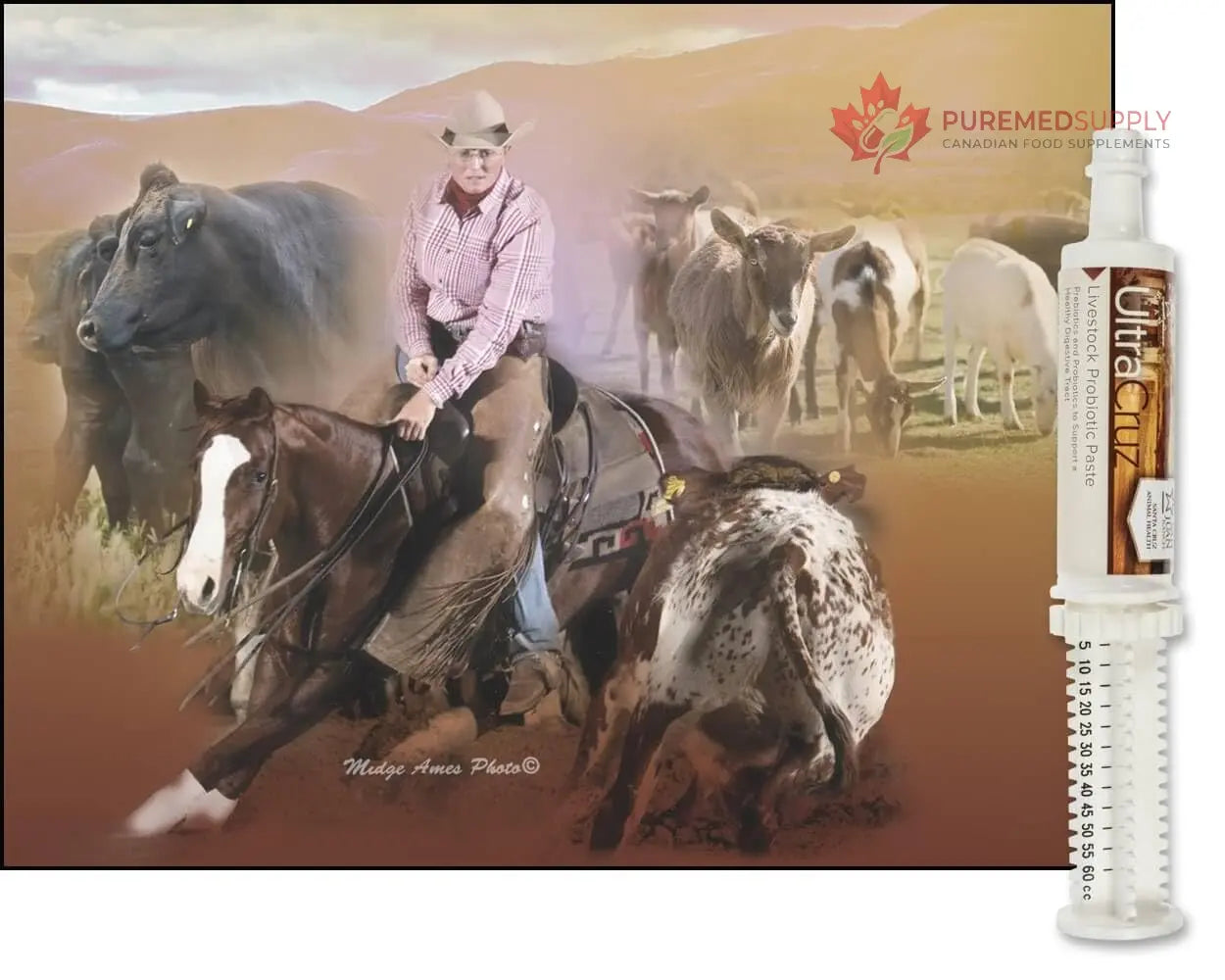 60 ml, Paste, 4 Day Supply UltraCruz buy supplements canada