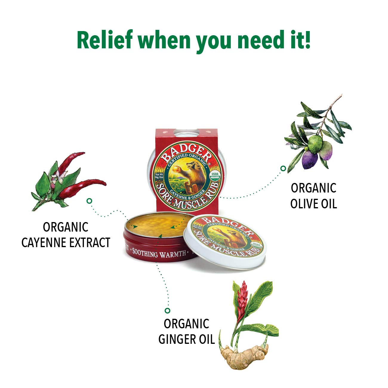 Badger Sore Muscle Rub Tin, Cayenne & Ginger, 2 oz (1 Pack) Badger buy supplements canada
