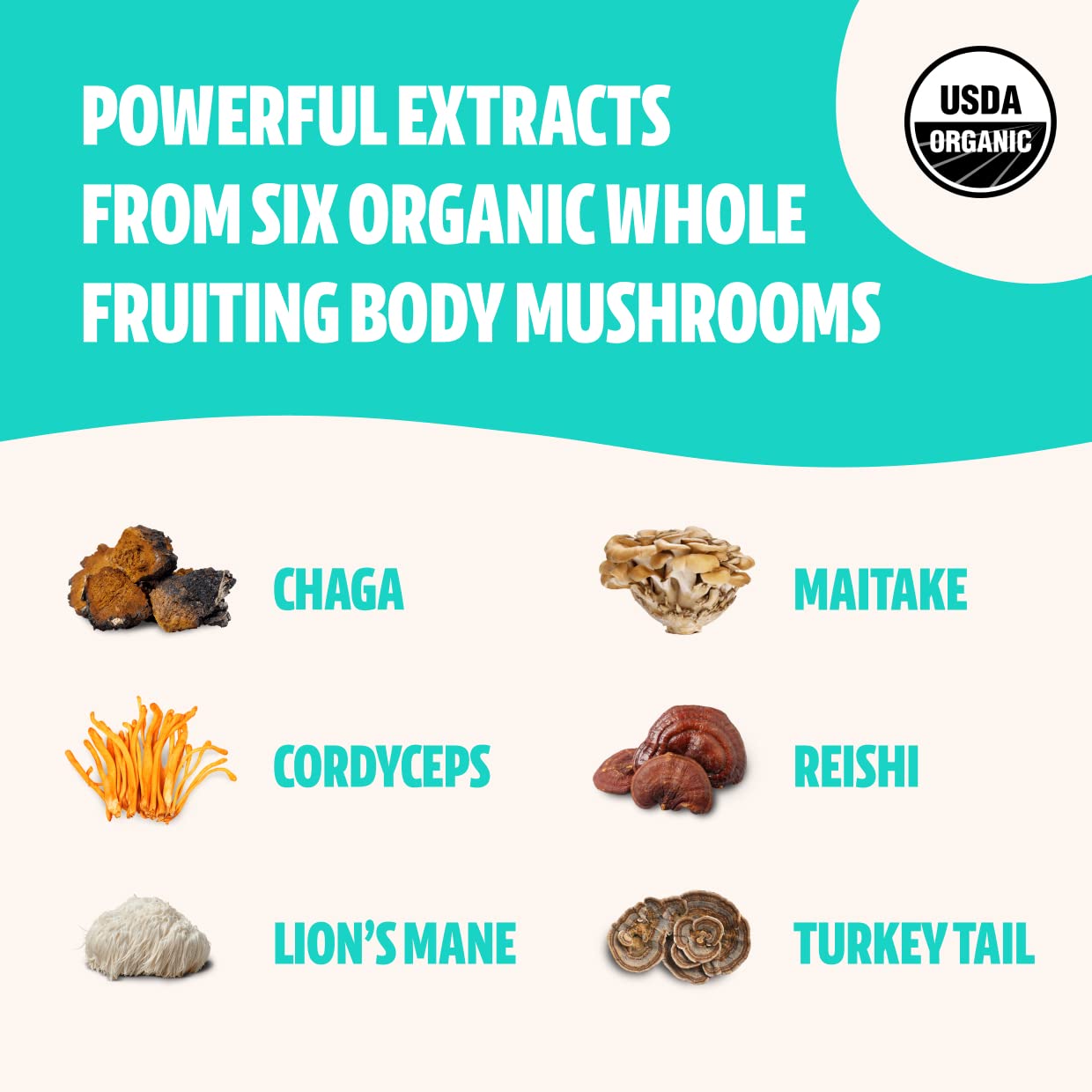FreshCap Ultimate Mushroom Complex Powder - Lions Mane, Reishi, Cordyceps, Chaga FreshCap Mushrooms buy supplements canada