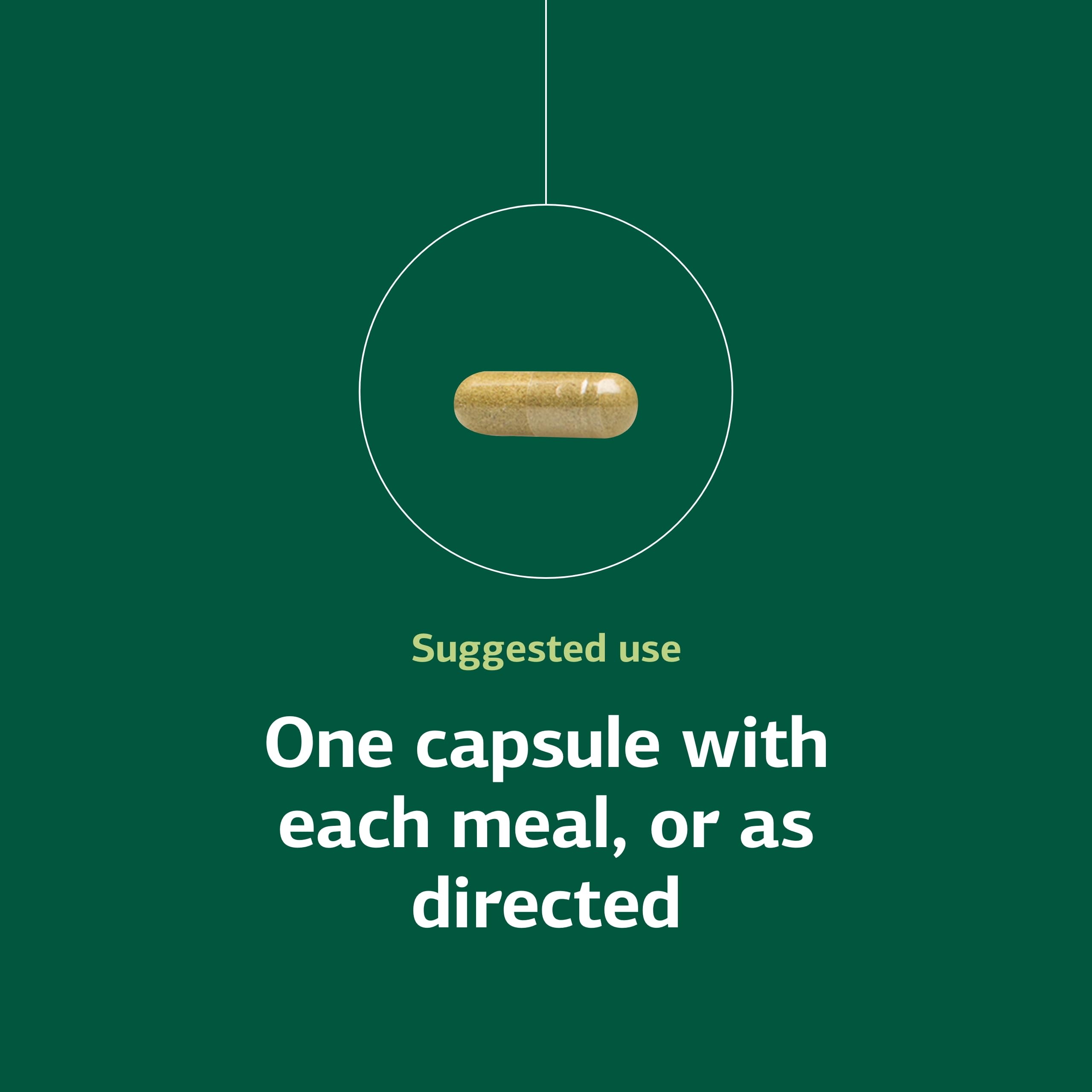 Standard Process Ostarplex - Dietary Supplement for Connective Tissue Health - Aids Liver Health & Function - Contains Vitamin B6 - Non-Dairy - 90 Capsules (90 Servings) Standard Process Inc. buy supplements canada