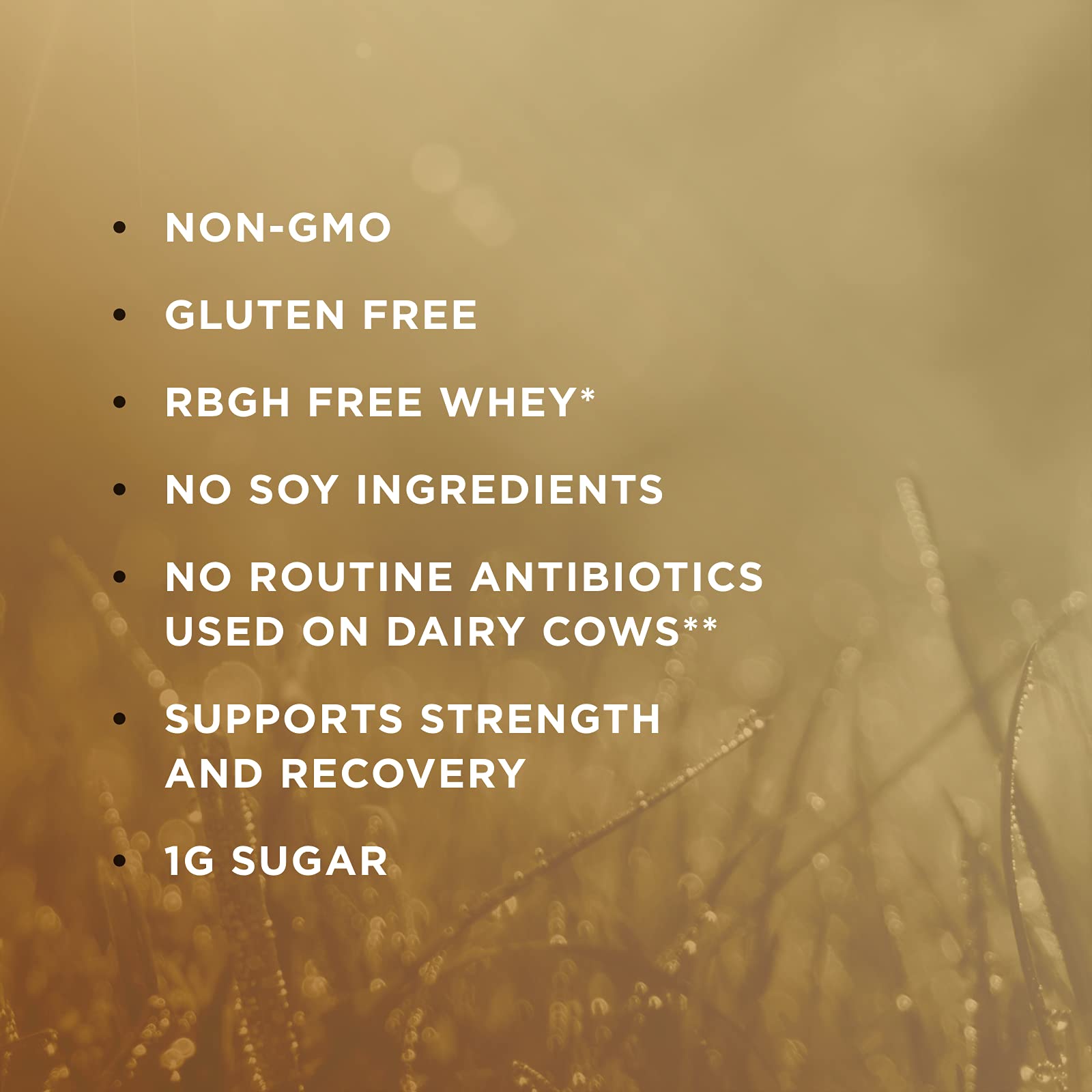 Solgar Whey To Go Natural Vanilla Flavour Protein Powder 340 g - Grass-Fed Whey from New Zealand Cows SOLGAR buy supplements canada