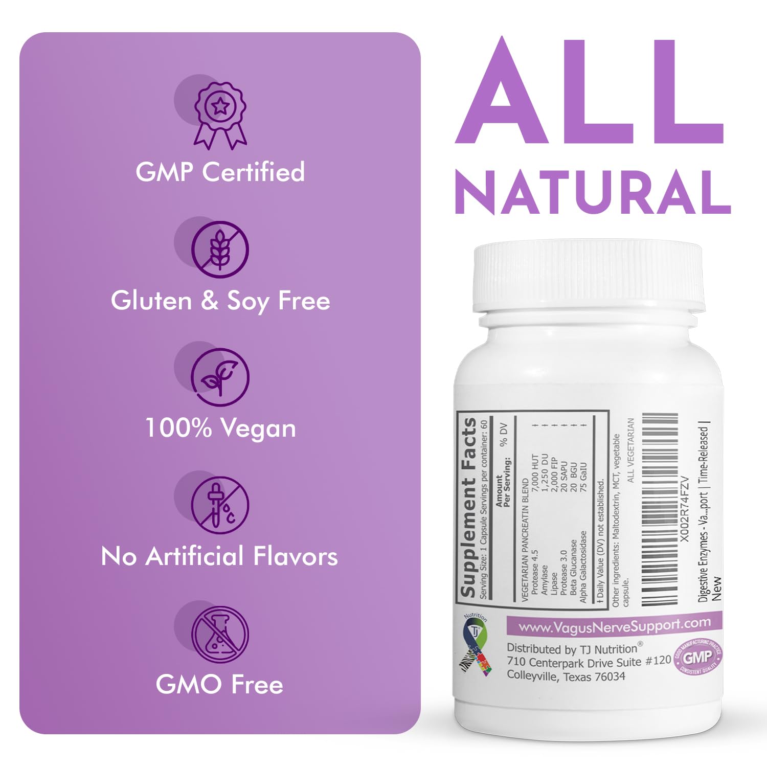 TJ Nutrition Digestive Enzymes for Sensitive Stomachs - Supports Vagus Nerve, Vegetarian Pancreatic Support, Timed Release Formula for Optimal Gut Health, Enhances Food Digestion & Gut Flora TJ Nutrition buy supplements canada