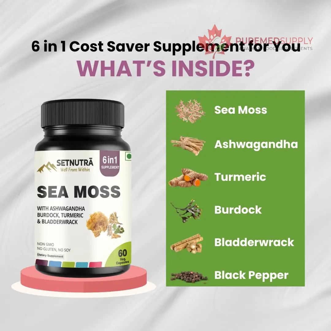 SETNUTRA Well From Within Sea Moss 6 in 1 Super Blend Ashwagandha Burdock Turmeric & Bladderwrack Immunity & Detox Support 60 Veg Capsules Non GMO No Gluten SETNUTRA Well From Within buy supplements canada