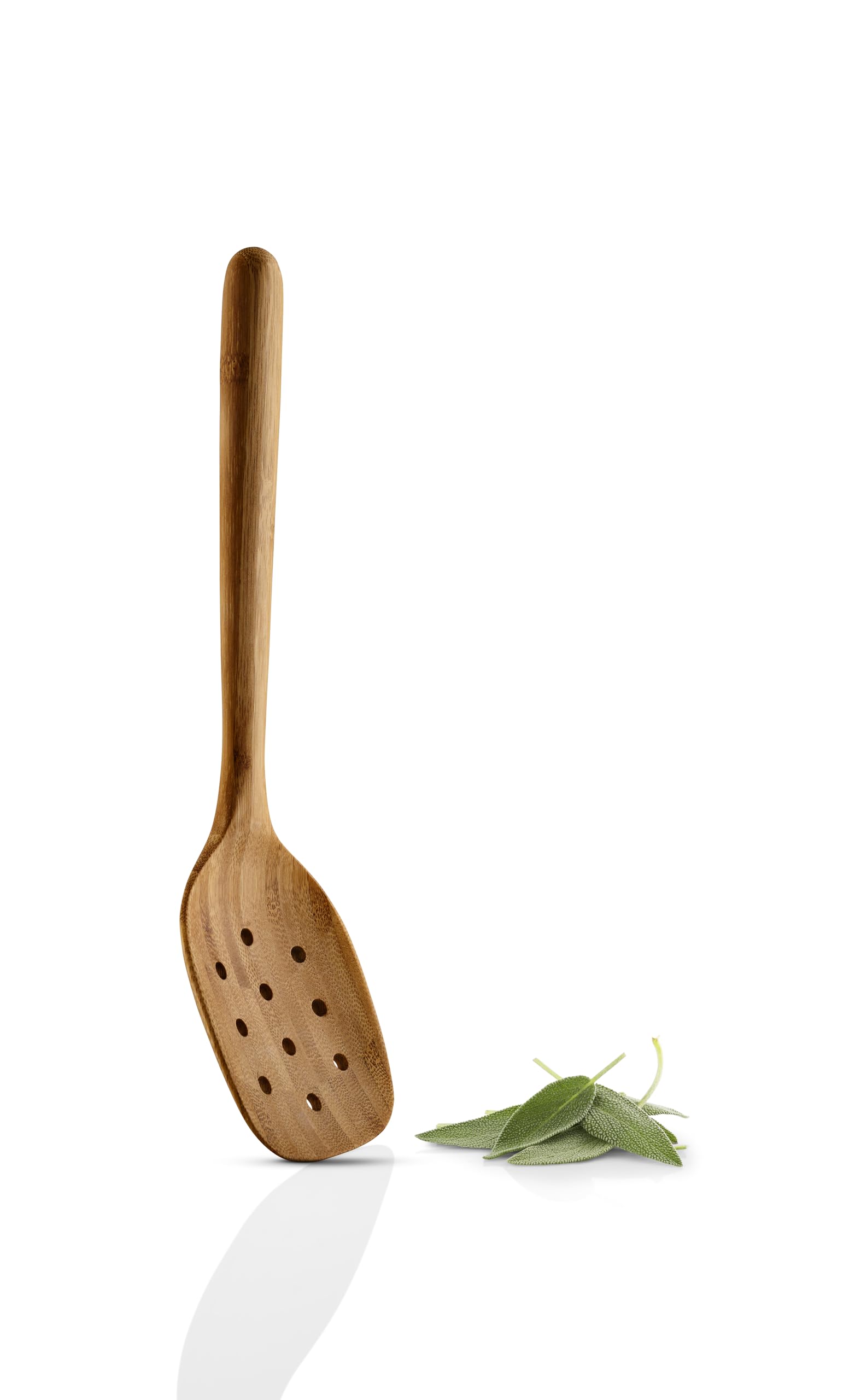 EVA SOLO | Nordic Kitchen Perforated Ladle Bamboo | Ideal for Straining and Serving Pasta and Vegetables | Natural & Eco-friendly Alternative to Plastic | Bamboo Eva Solo buy supplements canada