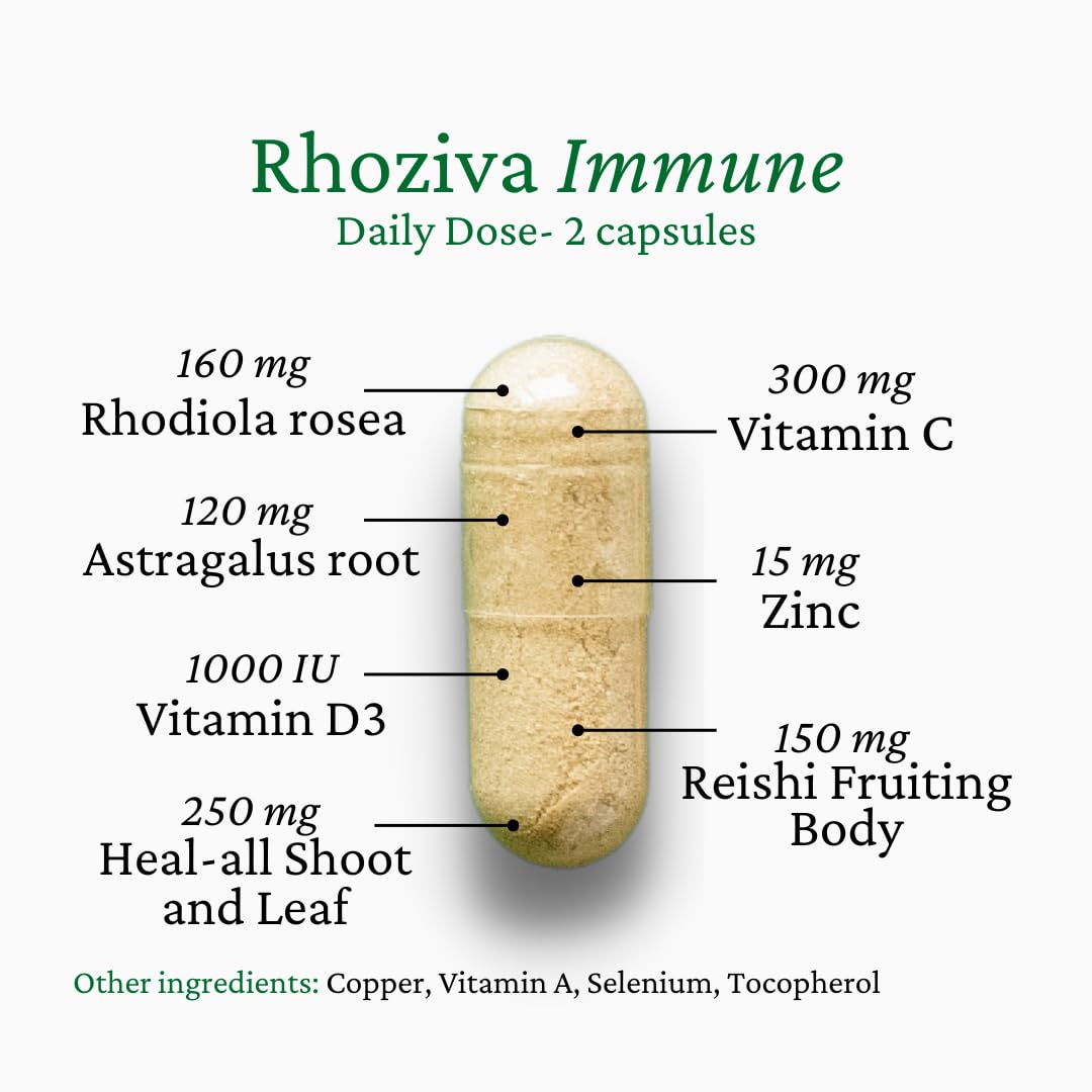 Immune Support, Energy Booster with Vitamin C, D3 and Zinc Supplement, Rhodiola Rosea, Reishi Mushroom Extract, Astragalus, Overall Wellness and Daily Habit - 60 Capsules Rhoziva buy supplements canada