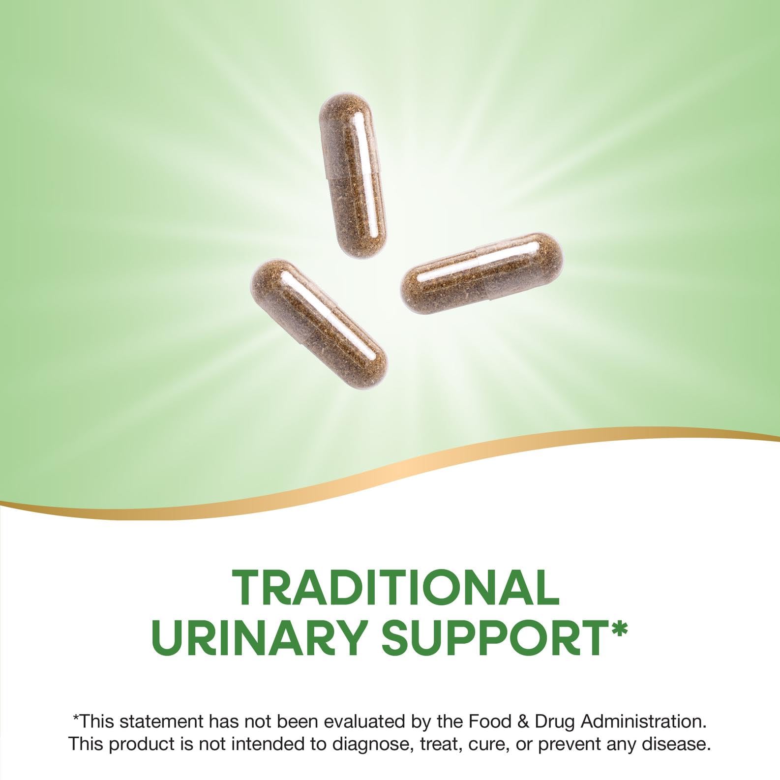 Nature's Way Uva Ursi Leaves, Traditional Urinary Support*, 1,110 mg per 3-Capsule Serving, Non-GMO Project Verified, Herbal Dietary Supplement, Gluten Free, 100 Vegan Capsules (Packaging May Vary) Nature's Way buy supplements canada
