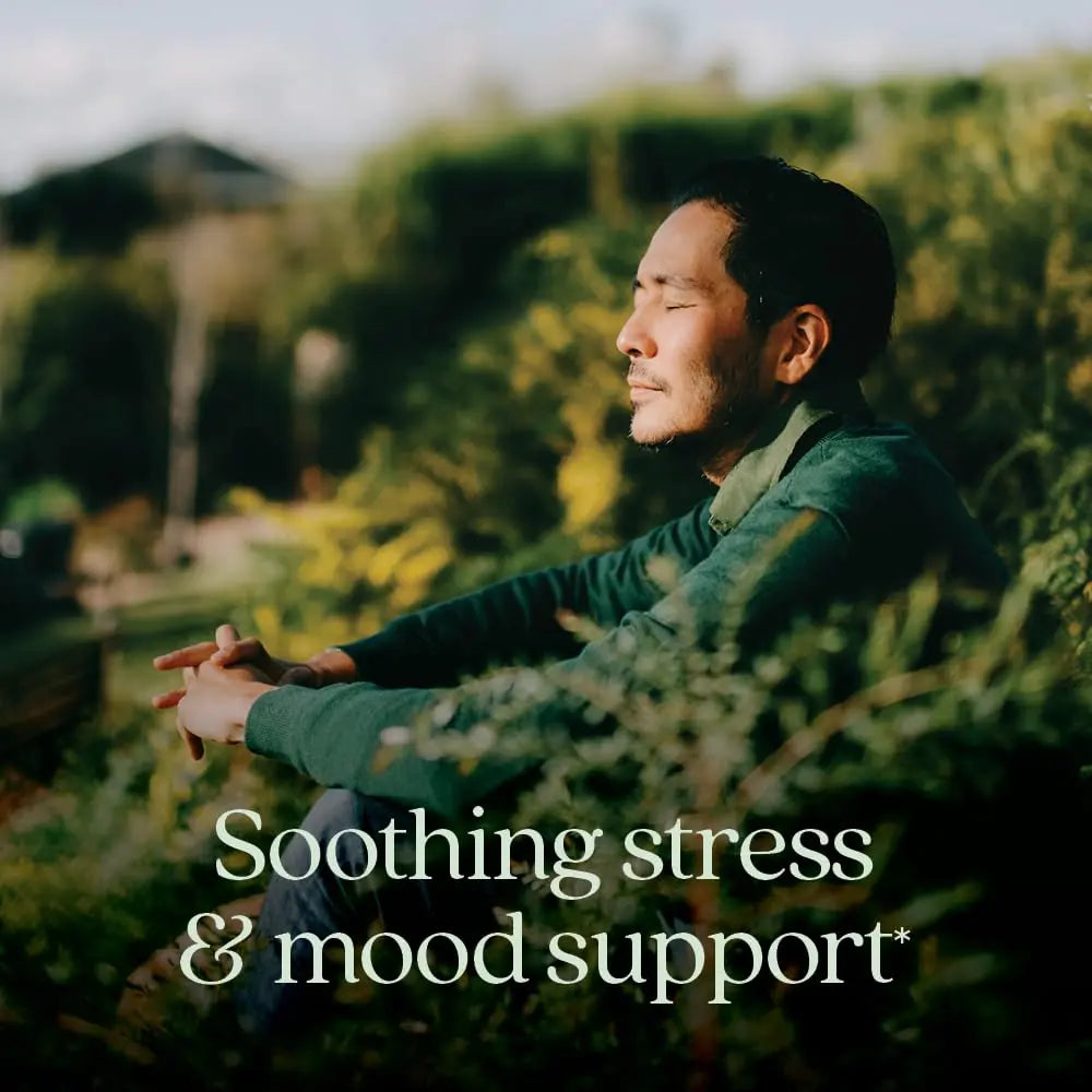 New Chapter Perfect Calm - Daily Multivitamin for Stress & Mood Support with B Vitamins + Holy Basil + Lemon Balm New Chapter buy supplements canada
