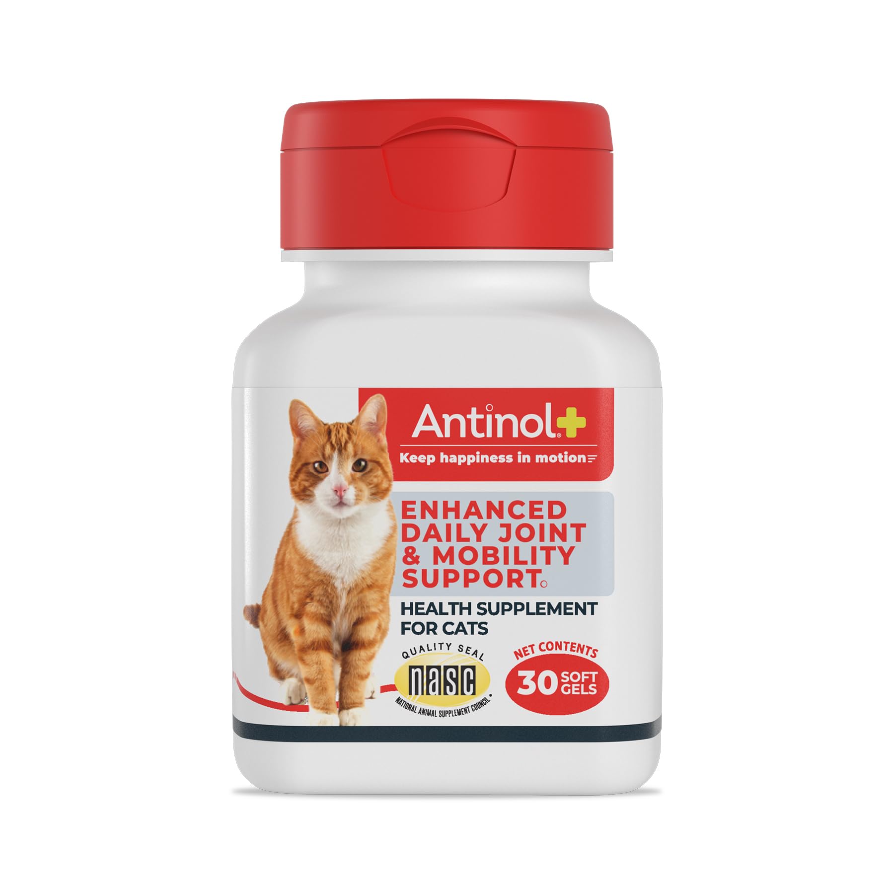 Antinol Plus, Mobility, Hip, and Joint Supplement for Cats, Green-Lipped Mussels and Krill Oil - Cat Joint Supplement, 30 Soft Gels Antinol buy supplements canada
