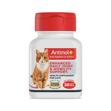 Antinol Plus, Mobility, Hip, and Joint Supplement for Cats, Green-Lipped Mussels and Krill Oil - Cat Joint Supplement, 30 Soft Gels Antinol buy supplements canada