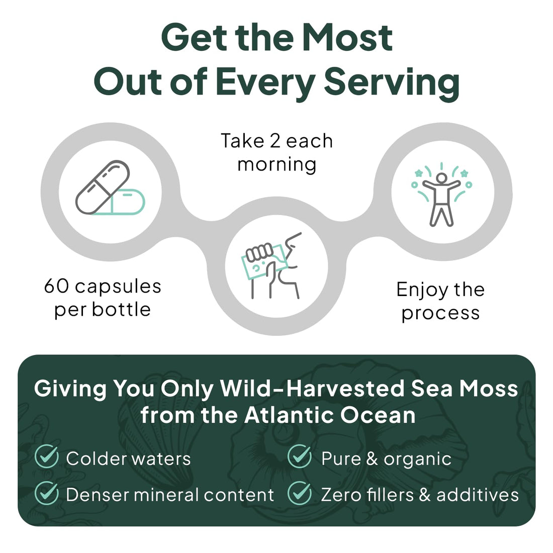 Organics Ocean Wild Sea Moss Capsules - 100% Organic Irish Sea Moss with Organic Chlorella, Bladderwrack and Vitamin D for Energy, Lung Health and Thyroid Support for Women and Men - 60 Capsules Organics Ocean buy supplements canada