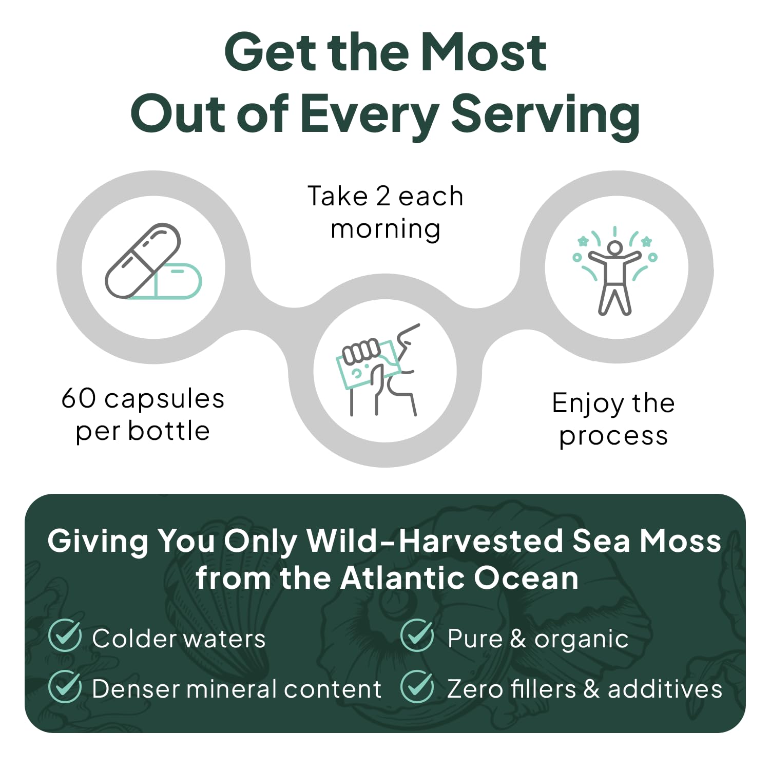 Organics Ocean Wild Sea Moss Capsules - 100% Organic Irish Sea Moss with Organic Chlorella, Bladderwrack and Vitamin D for Energy, Lung Health and Thyroid Support for Women and Men - 60 Capsules Organics Ocean buy supplements canada