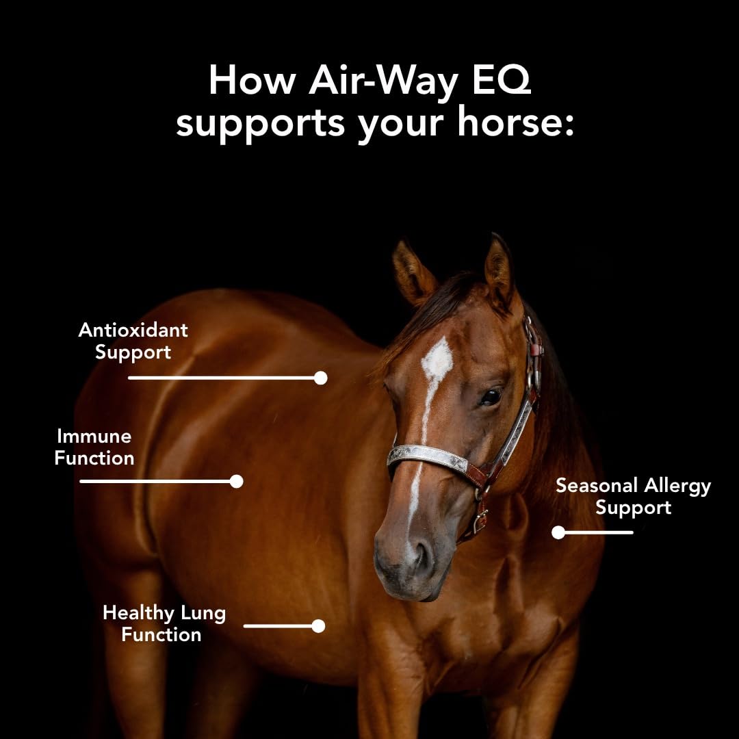 MVP Air-Way EQ Supports Healthy Lung Function and Seasonal Allergy Support in Horses, 5lb - 40 Servings MVP buy supplements canada