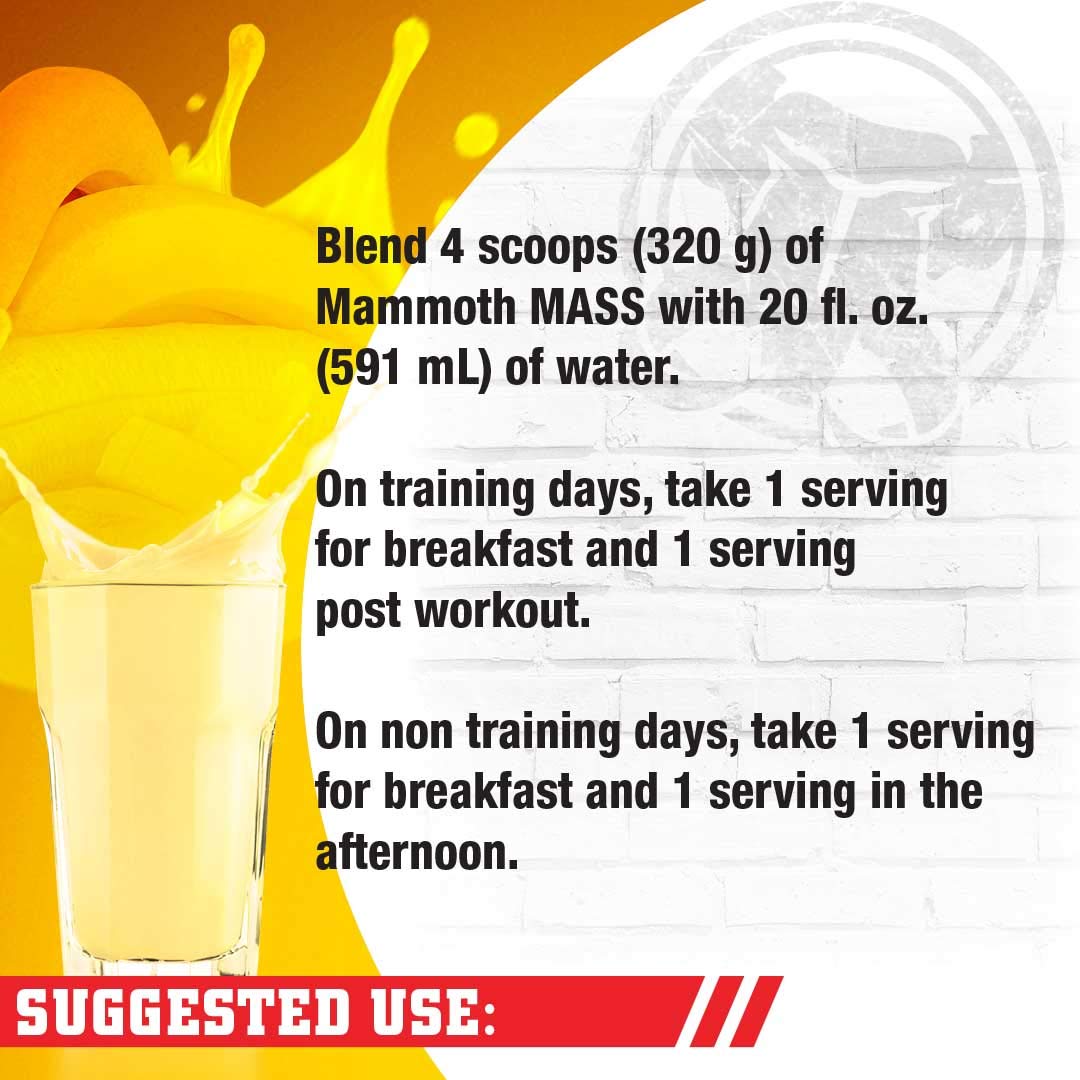 Interactive Nutrition Mammoth Mass Supplement, 5 lbs, Banana, 2.2kg Banana Mammoth buy supplements canada