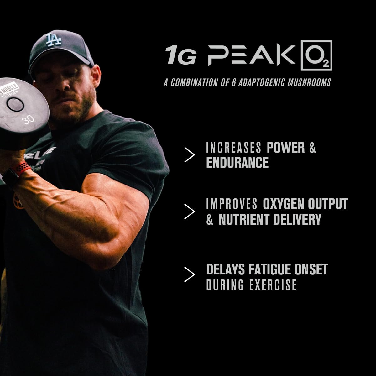 Jacked Factory Muscle Builder Supplement Stack - Build-XT Muscle Builder & N.O. XT Nitric Jacked Factory buy supplements canada