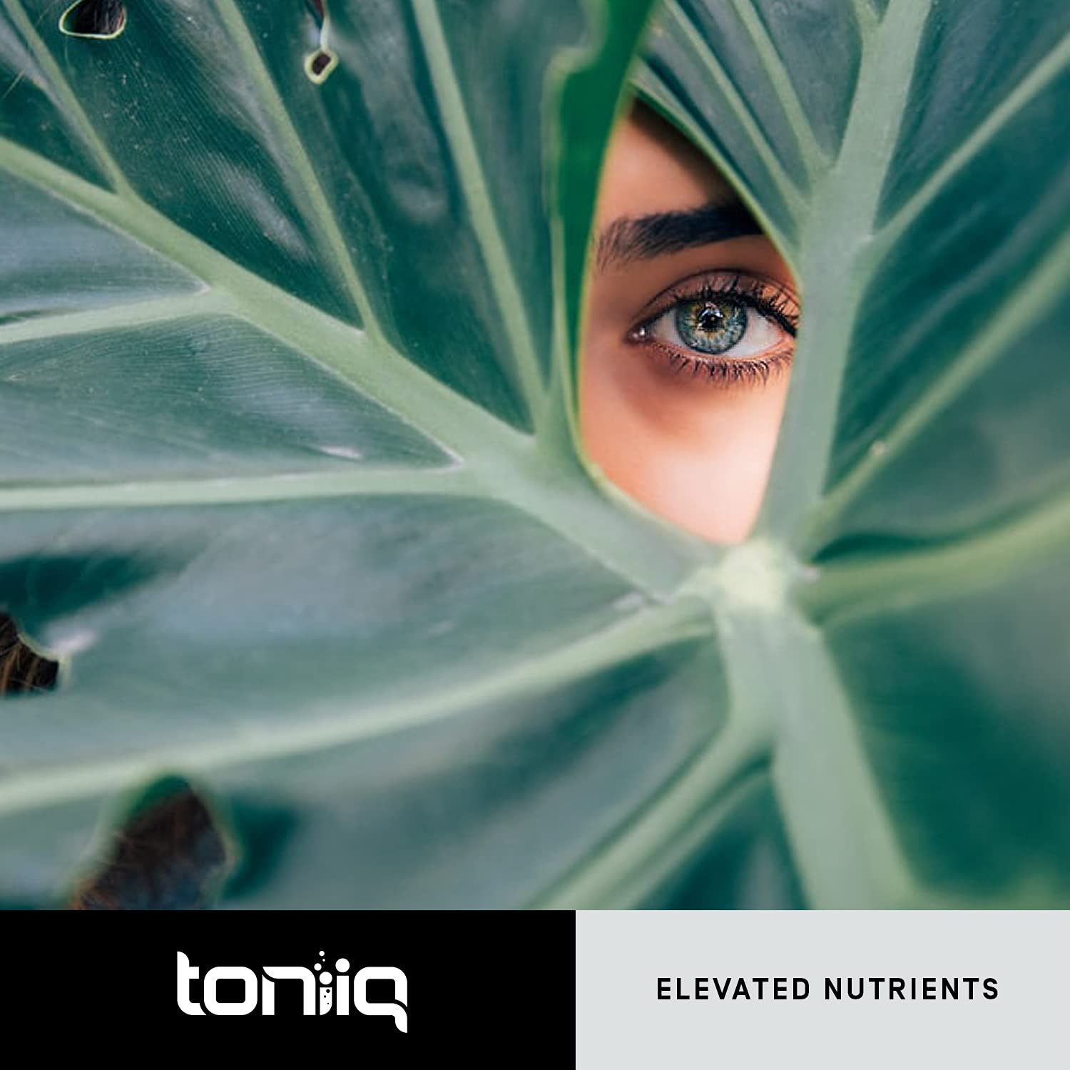 Toniiq Ultra High Purity Resveratrol Capsules - 98% Trans-Resveratrol - Highly Purified and Bioavailable - 60 Caps Reservatrol Supplement Toniiq buy supplements canada