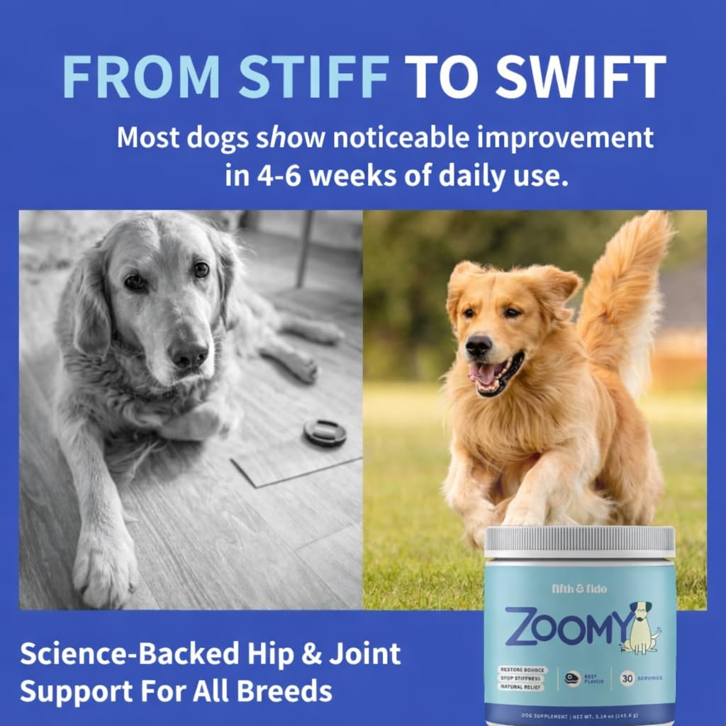 Fifth & Fido Joint Supplement for Dogs - Glucosamine for Dogs - Pet Vitamins and Supplements Powder with Chondroitin & MSM - Hip & Joint Support for Mobility, Stiffness & Flexibility - Mushroom Blend Fifth & Fido buy supplements canada