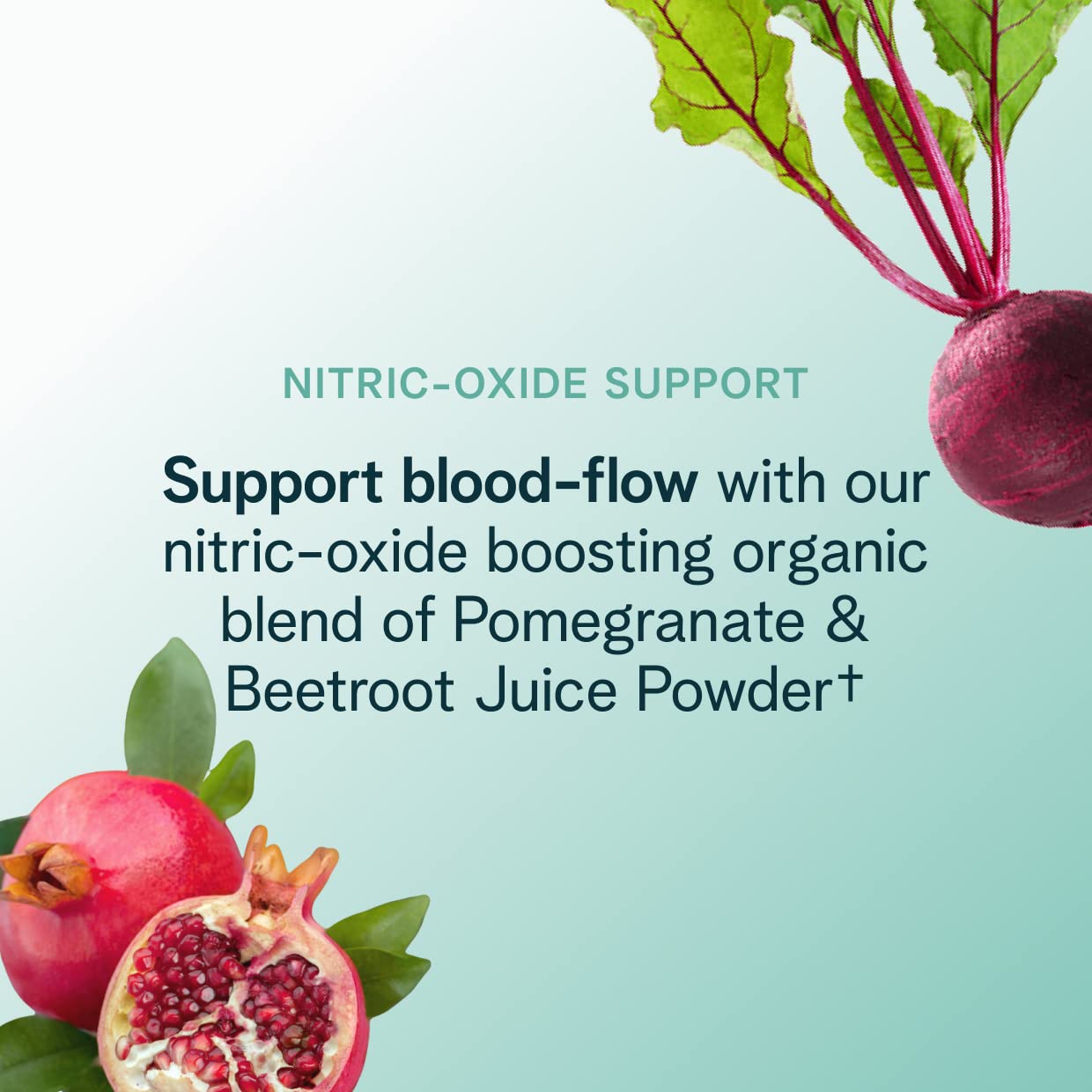 Ora Organic Natural Pre Workout Powder - Raspberry Lemonade Flavor- Provides Jitter Free Energy, Focus, Hydration, & Endurance - Vegan, Certified Organic, Soy, Dairy, & Gluten Free, 20 Servings Ora Organic buy supplements canada