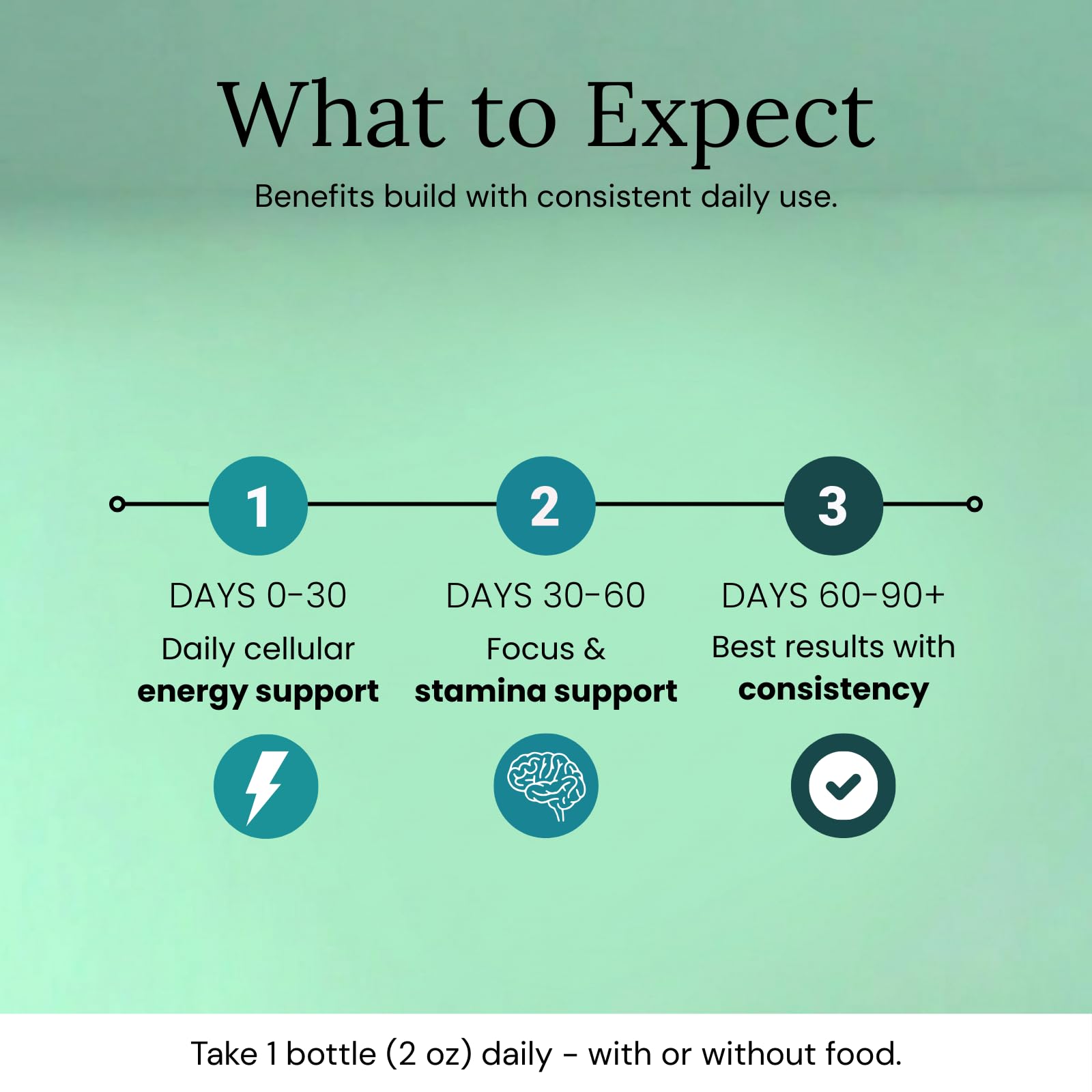 Strong Cell | Cellular Function Booster Liquid | NADH, CoQ10, Collagen. 90+% Absorption Rate. Vitamins B1, B2, B3, B6, B7, and B12. Vitamin K2 | 30 Count. Wellura buy supplements canada