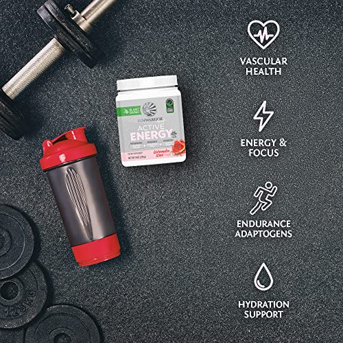 Sunwarrior Plant-Based Preworkout Powder Hydration Blend | Coconut Water Mushroom Sunwarrior buy supplements canada