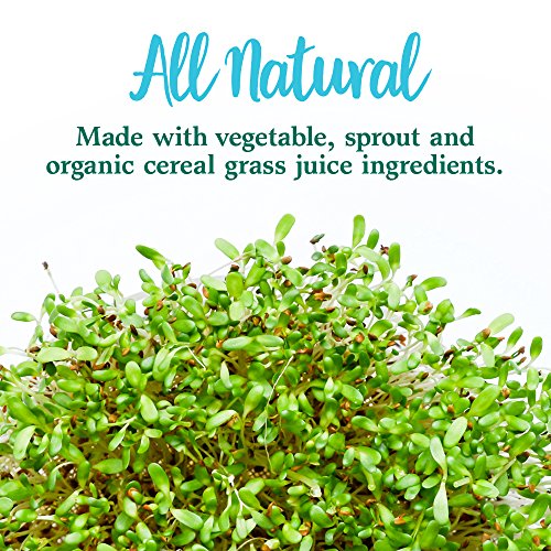 Garden of Life Perfect Food Super Green Formula - 14 Servings | 45 Superfoods, Greens Garden of Life buy supplements canada