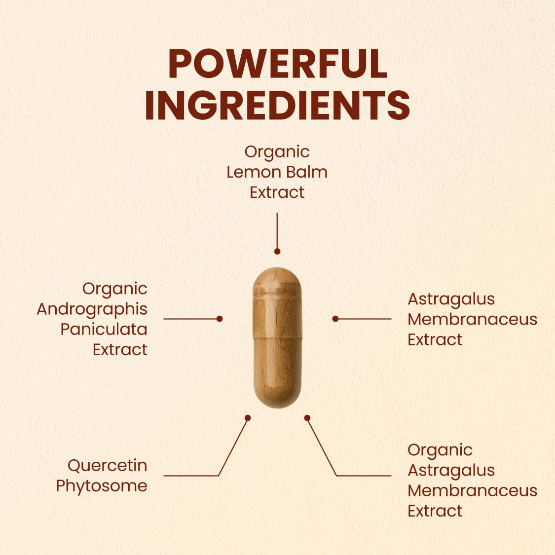 CHOQ Armor - Vegan Capsules - Professional-Grade Immune Defense - 20x Absorption Quercetin Phytosome - Andrographis - Astragalus - Supports Healthy Histamine Levels CHOQ buy supplements canada