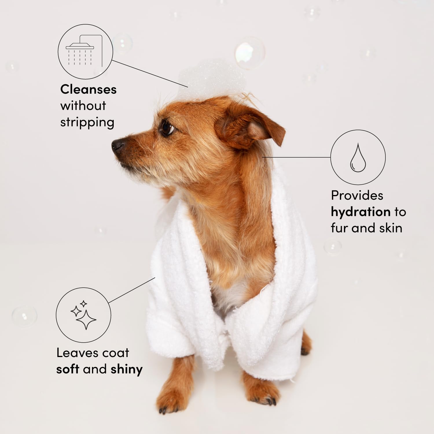 OUAI Fur Bébé Pet Shampoo, Mercer Street Scent - Dog Shampoo and Coat Wash for Hydrating, Cleansing and Adding Shine - Pet Supplies by OUAI (16 Fl Oz) OUAI buy supplements canada