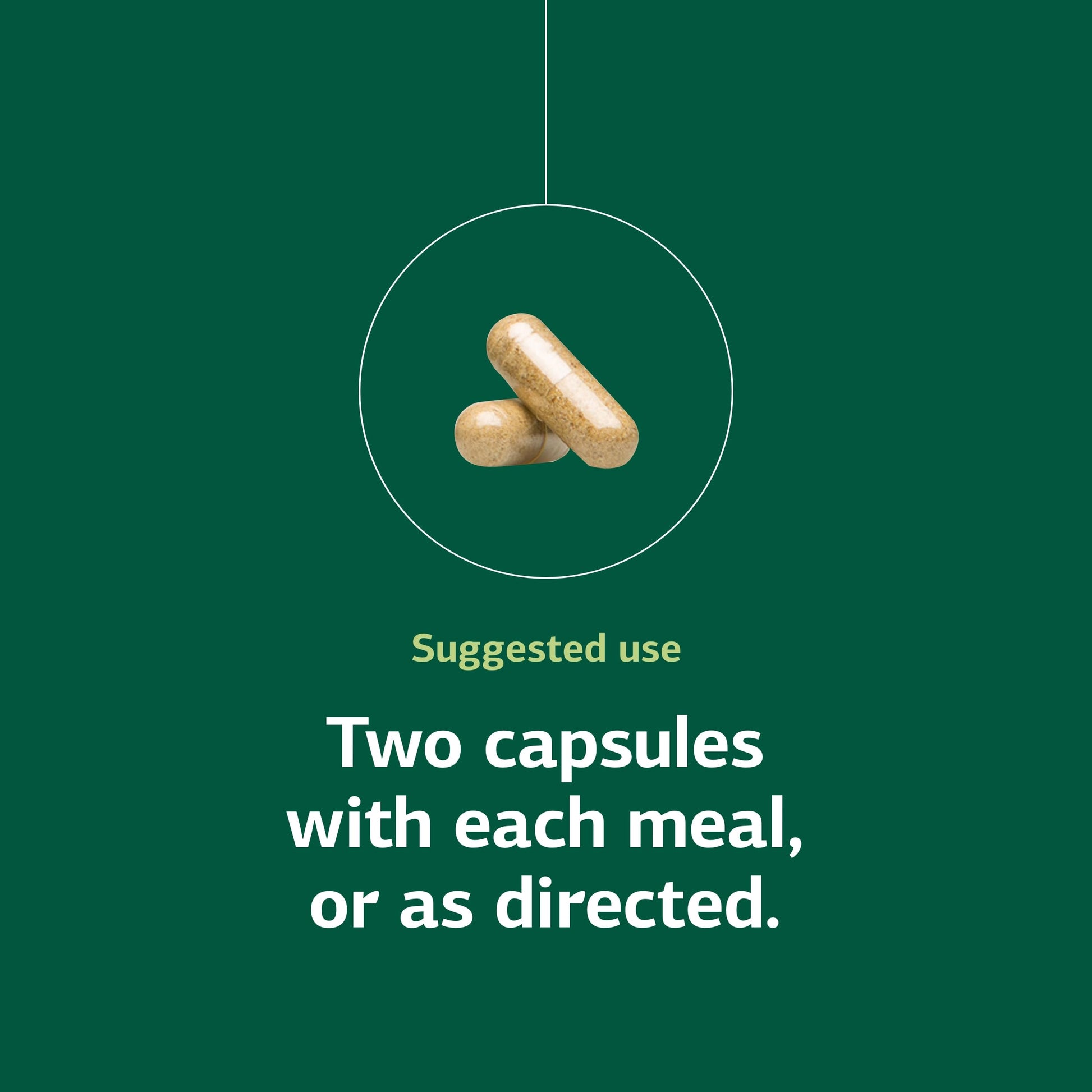 Standard Process Senaplex - Nervous System Support with Niacin, Vitamin B12 & B6 - Supports Brain Health & Cellular Health - Offers Antioxidant Activity - Non-Dairy - 90 Capsules (45 Servings) Standard Process Inc. buy supplements canada