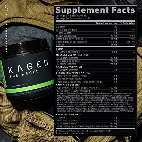 Kaged Original Pre-Workout Powder | Fruit Punch | Pre Formulated with Creatine, Beta Alanine Kaged buy supplements canada