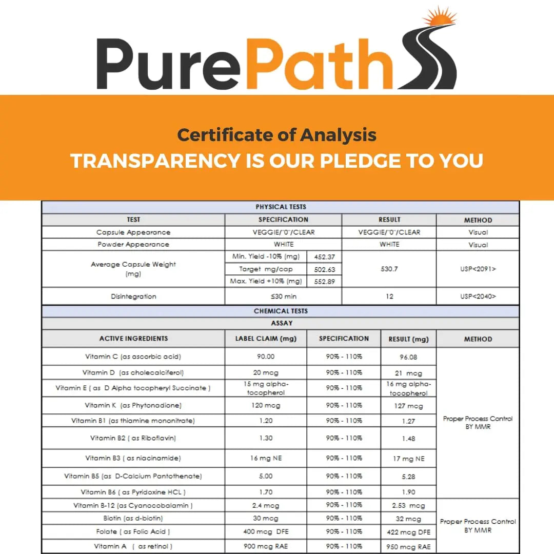 PurePath Non-Toxic Adult Multivitamin - 13 Vitamins - 100% RDA - No Harmful Megadoses - with B6 & B12 PurePath buy supplements canada