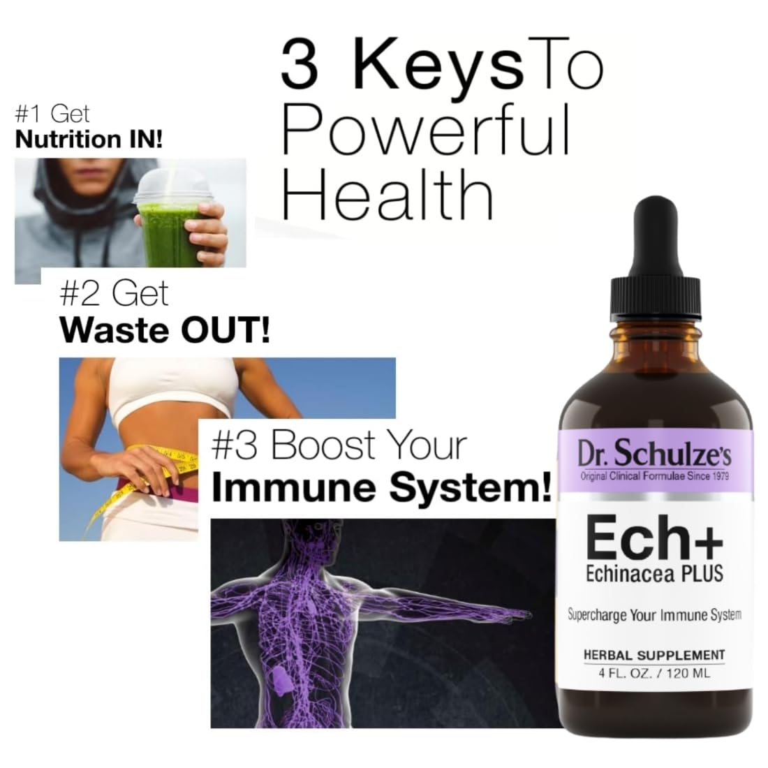 Dr. Schulze's Echinacea Plus | Echinacea Root and Seed | All Organic Extract | Gluten-Free Dr. Schulze's buy supplements canada