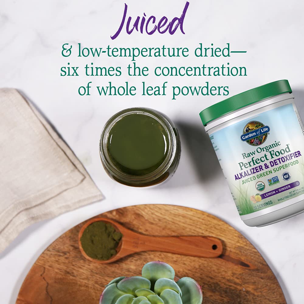 Garden of Life Raw Organic Perfect Food Alkalizer & Detoxifier Juiced Greens Superfood Garden of Life buy supplements canada