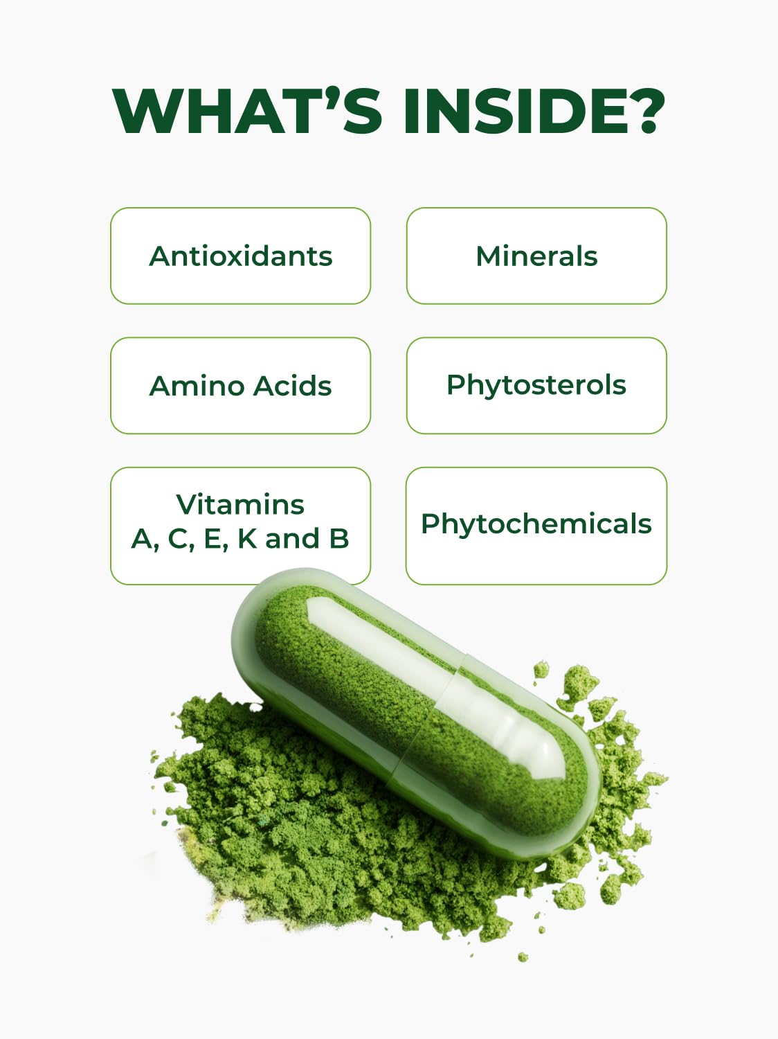 PURA VIDA MORINGA Organic Moringa Capsules, Pure Moringa Leaf Powder Single Origin for Energy, Metabolism & Immune Support Pura Vida Moringa buy supplements canada
