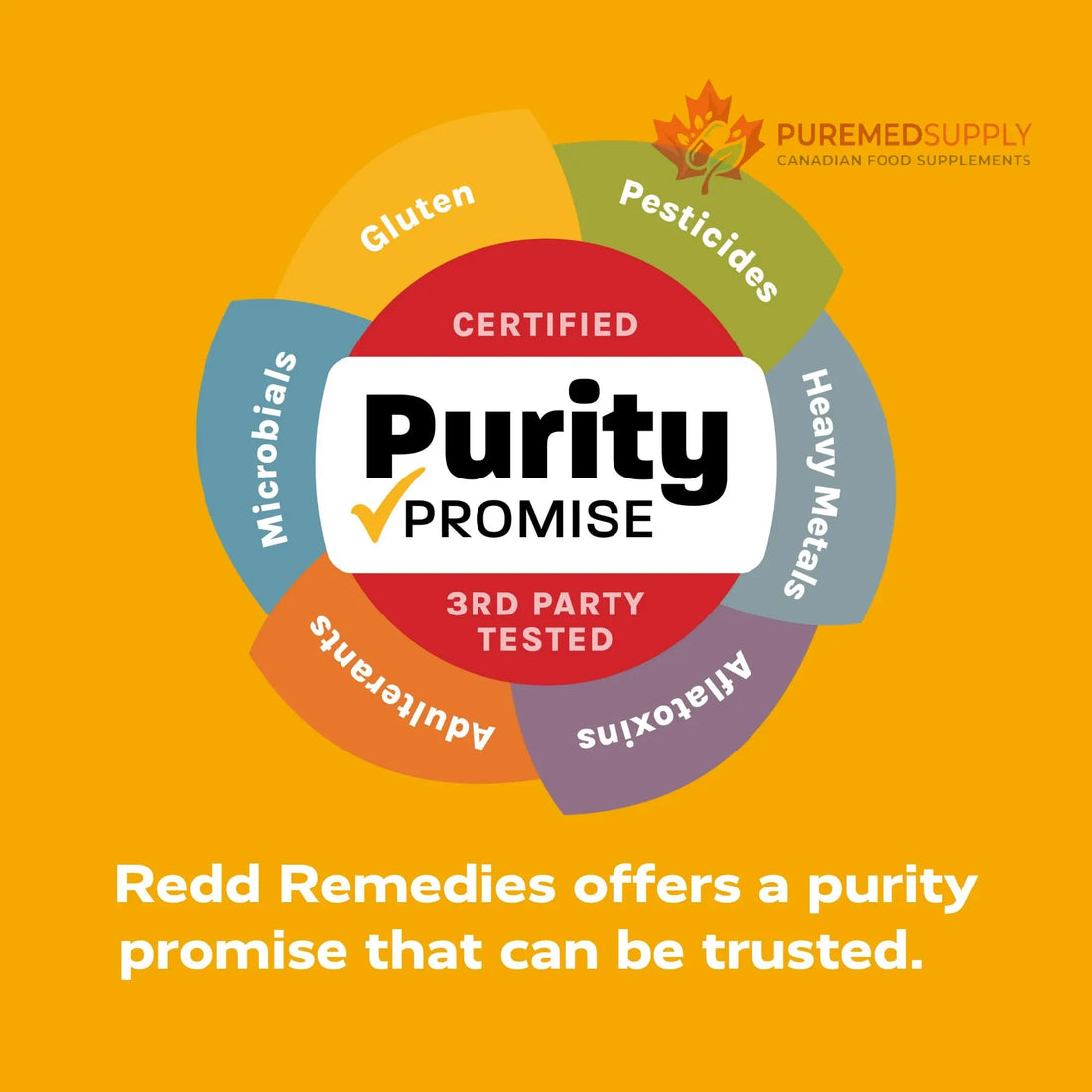 Redd Remedies, Brain Awakening, Supports Cognitive Function and Focus, 120 Vegan Capsules Redd Remedies buy supplements canada