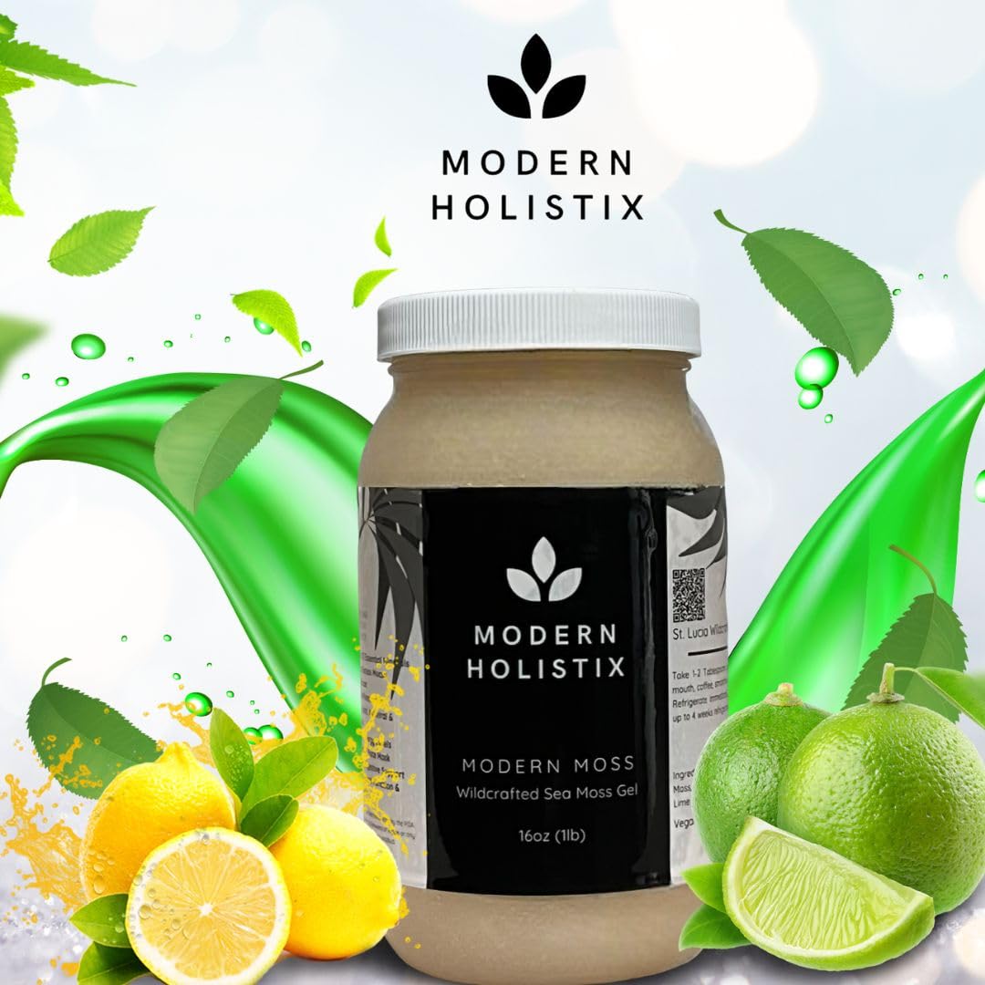 Modern Holistix Original Sea Moss Gel – 32oz Jar | Wildcrafted | All-Natural Superfood for Immunity, Energy & Gut Health Modern Holistix buy supplements canada