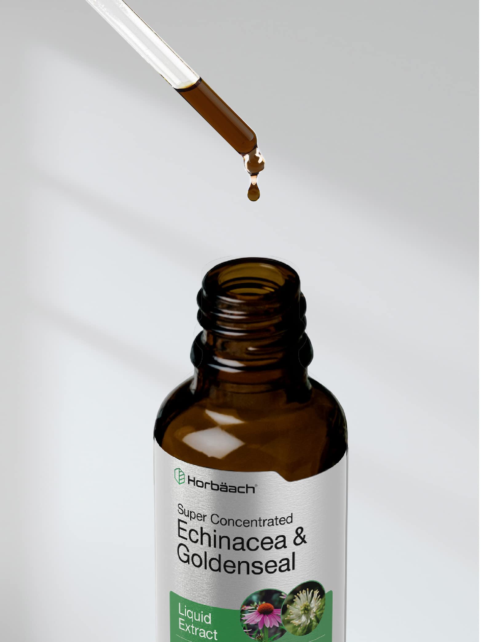 Echinacea Goldenseal Liquid Extract | 2 fl oz | Alcohol Free Tincture Drops | Vegetarian Horbäach buy supplements canada