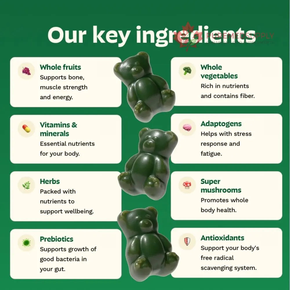 Gruns Sugar-Free Super Greens Gummies, Multivitamin Superfood Gummy Bears, Spirulina, Chlorella, Prebiotics & Fiber gummies for Digestive Health, Adaptogens Supplement, 20 Vitamins & Minerals, 10 pack Grüns buy supplements canada