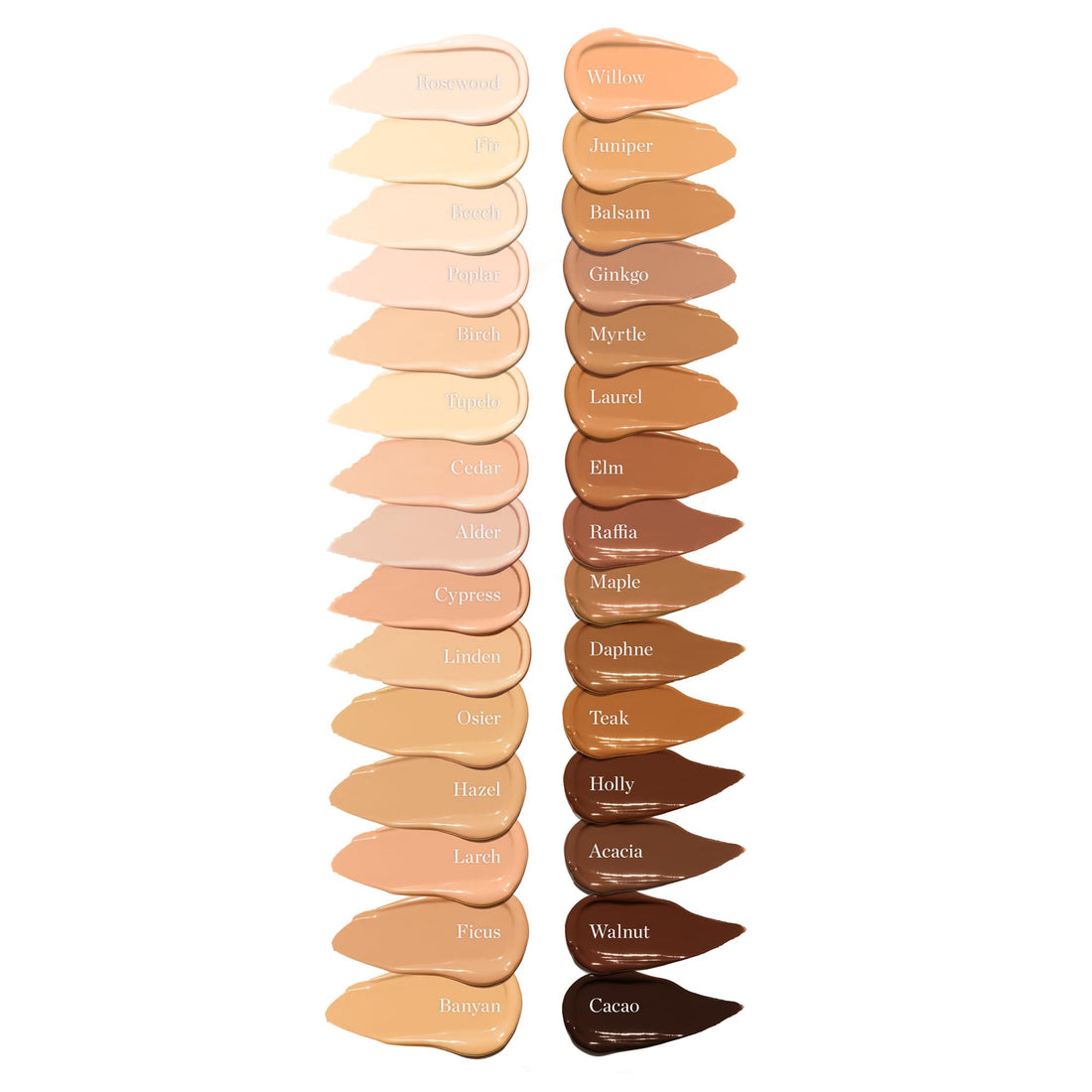 Ogee Complexion Perfecting Under Eye Concealer - Certified Organic Full Coverage Concealer - Buildable Coverage - OSIER 1.75W - Light Medium (Olive Undertones) Ogee buy supplements canada