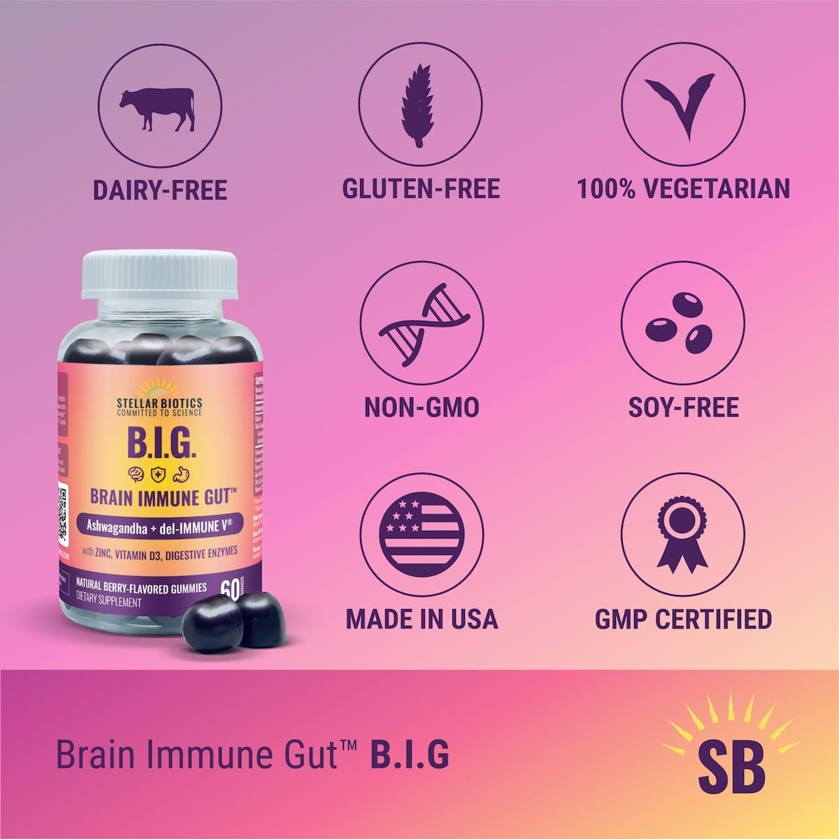 Del-Immune V + Ashwagandha - Brain Immune Gut™ (B.I.G.) Gummy - All Natural Immune & Gut Support with Zinc, Vitamin D3 + Digestive Enzymes (60 Gummies) Del-Immune V buy supplements canada