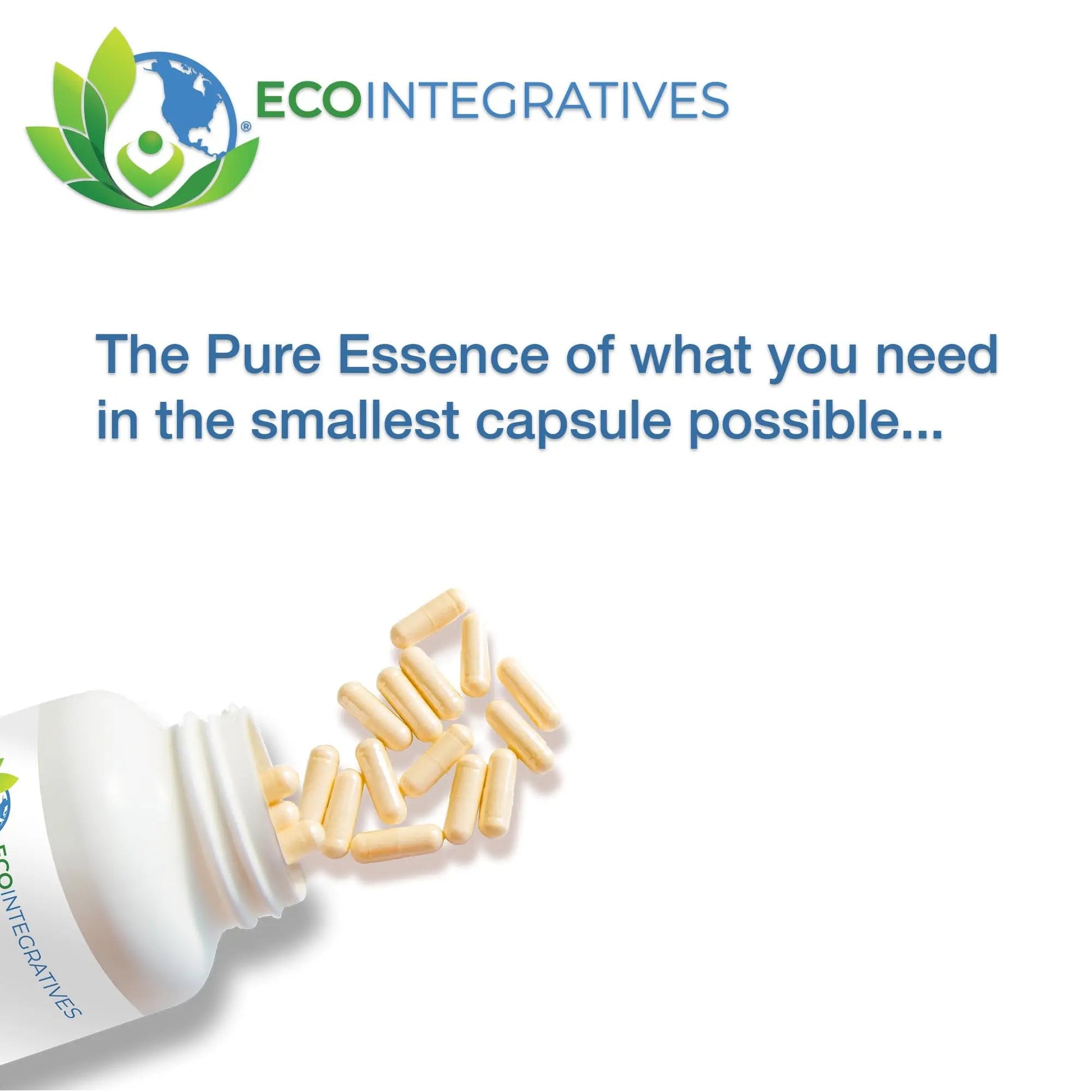 EcoIntegratives Active Multivitamin | ADK, Methyl B Complex, Antioxidants | Quatrefolic Folate, Methyl B12, P5P, Vitamin D3, K1/K2 | EcoIntegratives buy supplements canada