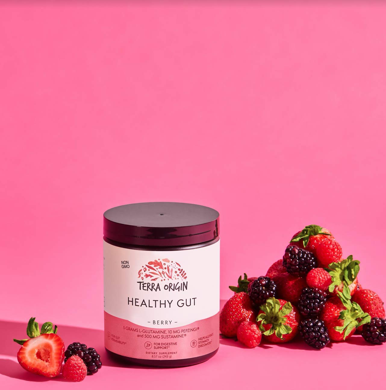 TERRA ORIGIN Healthy Gut Powder (Berry Flavor) |30-Servings with L-Glutamine, Zinc, Glucosamine, Slippery Elm Bark, Marshmallow Root and More! TERRA ORIGIN buy supplements canada
