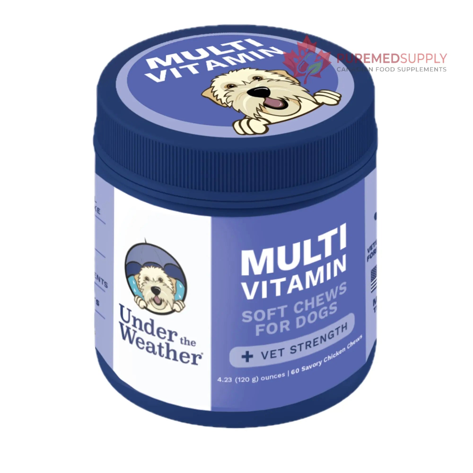 Under the Weather Multivitamin for Dogs | Vet Formulated Daily Canine Health Supplies for Immunity, Skin, Coat & Joint Support | All-in-One Multivitamin for Dogs of All Breeds & Sizes | 60 Count Under the Weather buy supplements canada