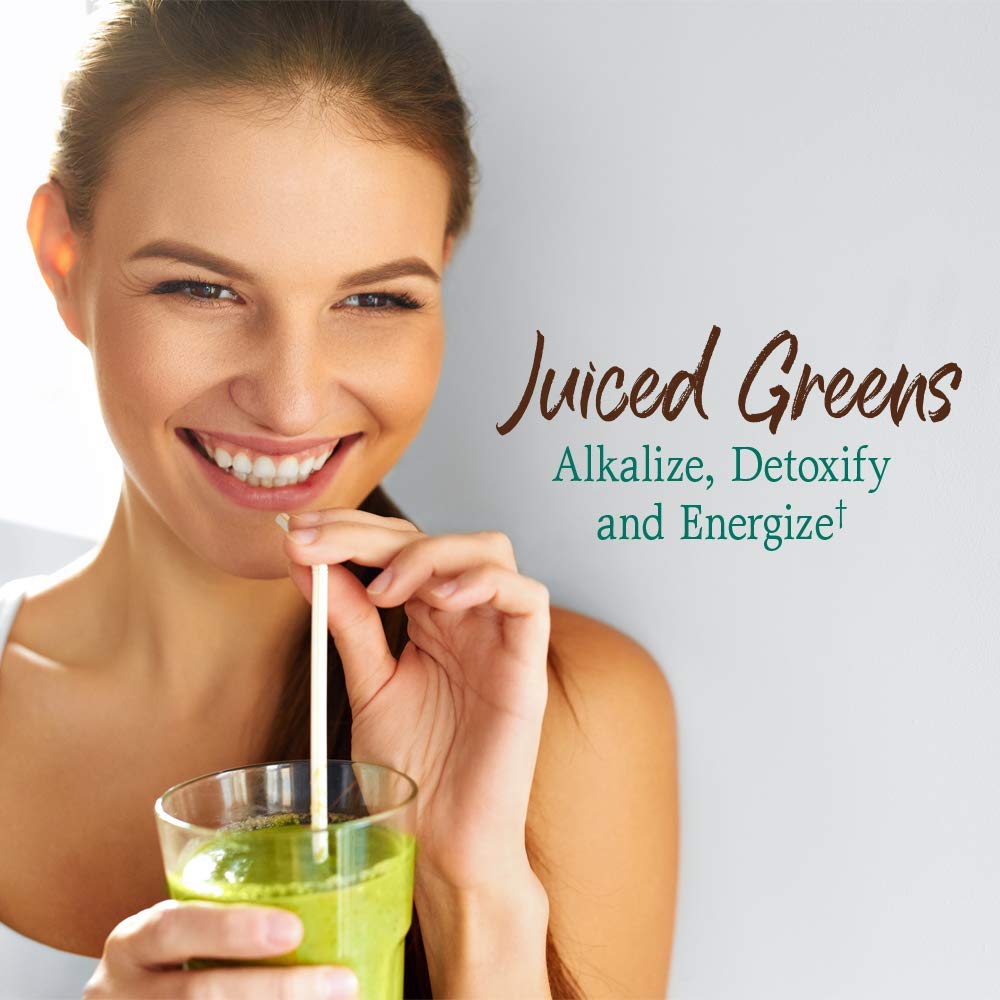Garden of Life Raw Organic Perfect Food Green Superfood Juiced Greens Powder - Chocolate, 60 Servings, Non-GMO, Gluten Free, Vegan Whole Food Dietary Supplement Plus Probiotics, Enzymes Garden of Life buy supplements canada