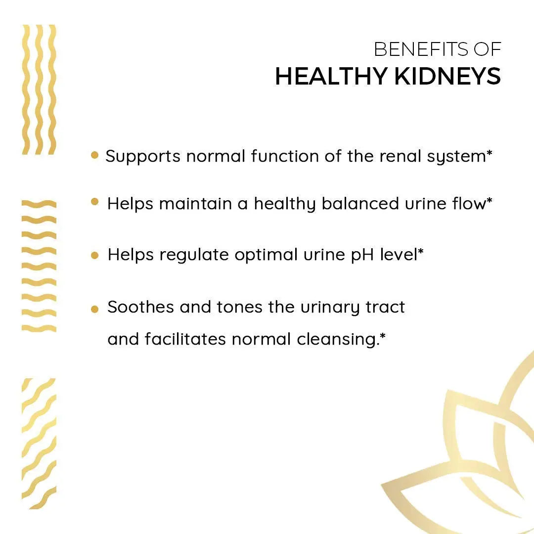 Kerala Ayurveda Healthy Kidney Herbal Tablets | Support Normal Kidney Function and Health | Kidney and Bladder Support | Urinary System Support - 90 Count Kerala Ayurveda buy supplements canada